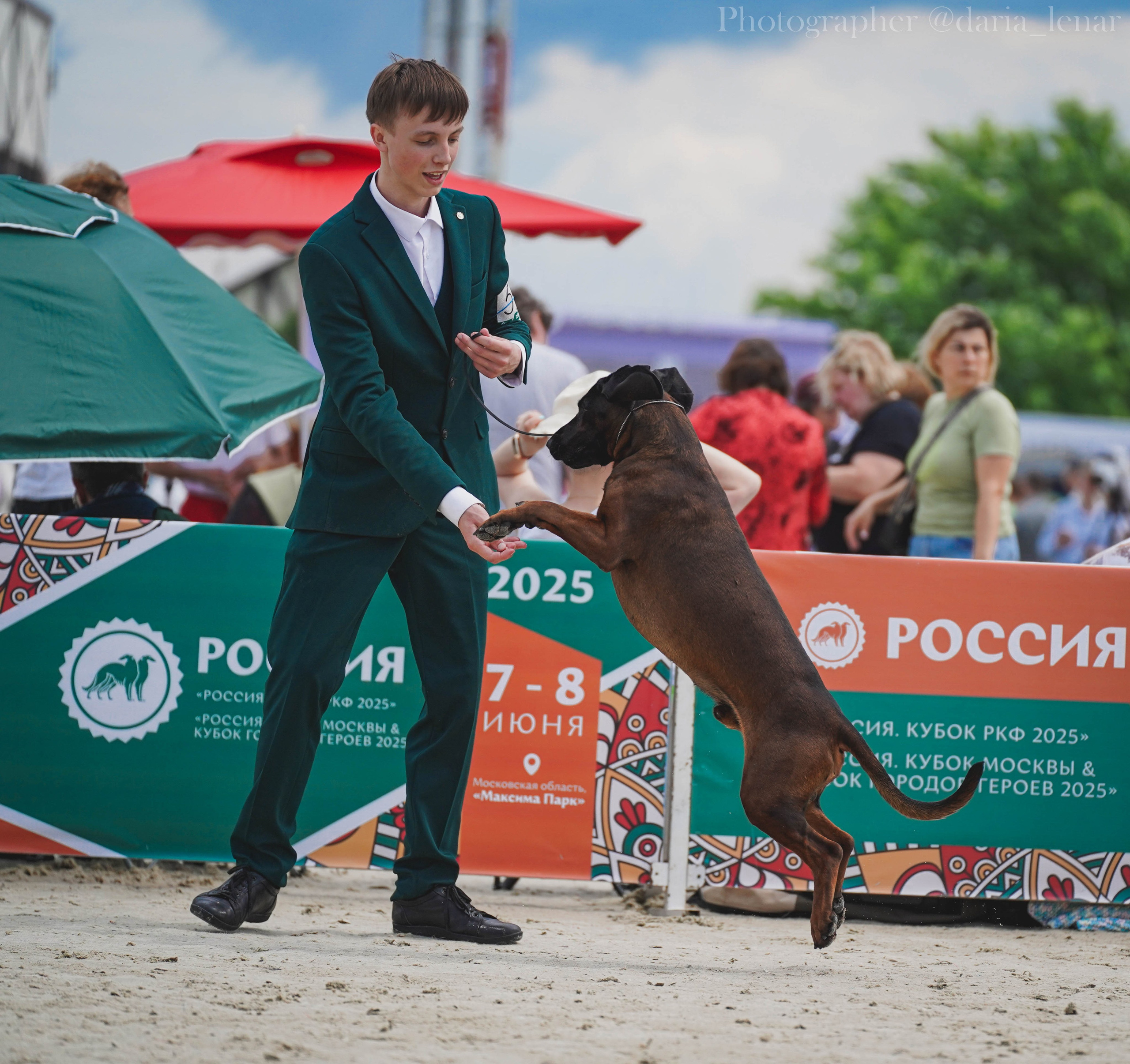 Выставки собак. Фотограф в Москве Ленарская Дарья