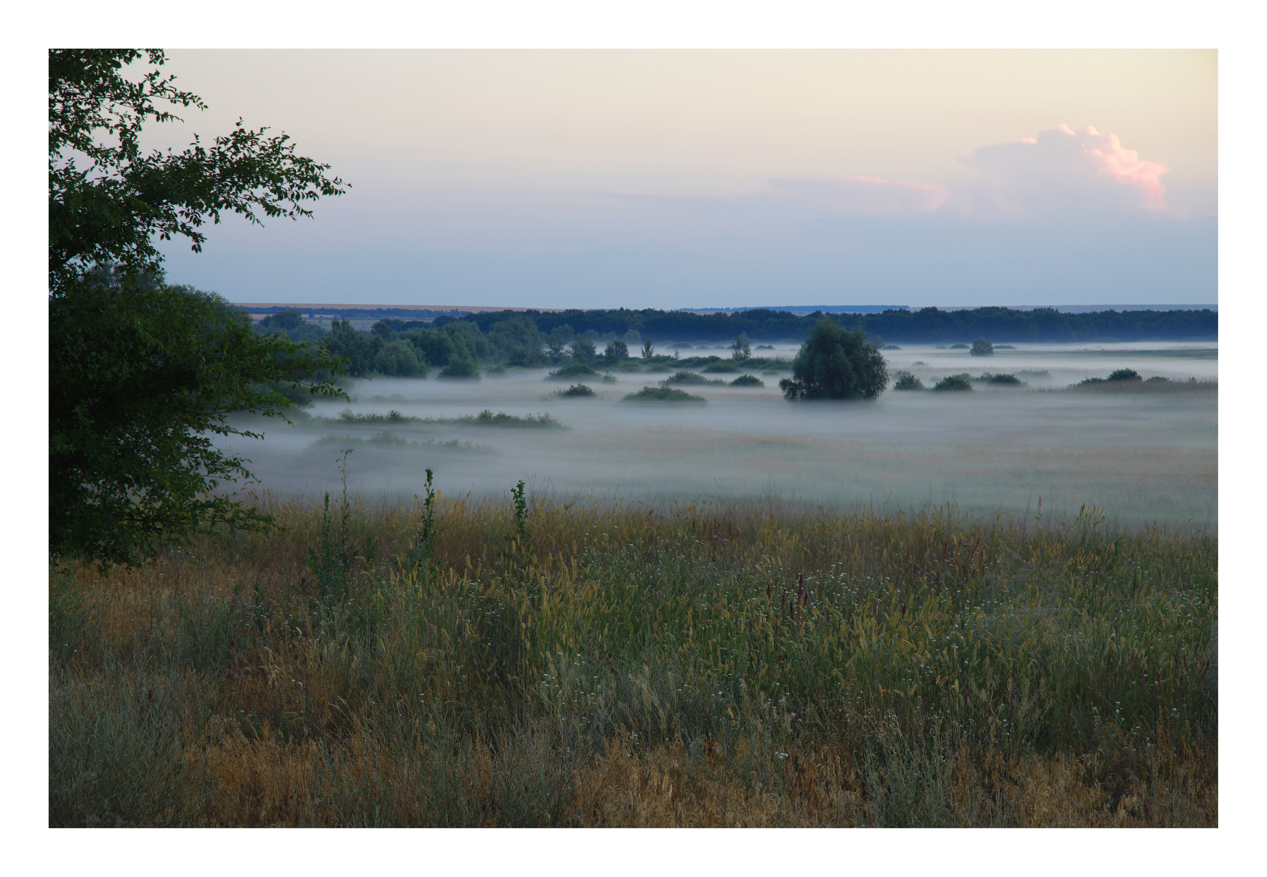 Пейзажи. Фотограф в Волгограде Юрий Егоров