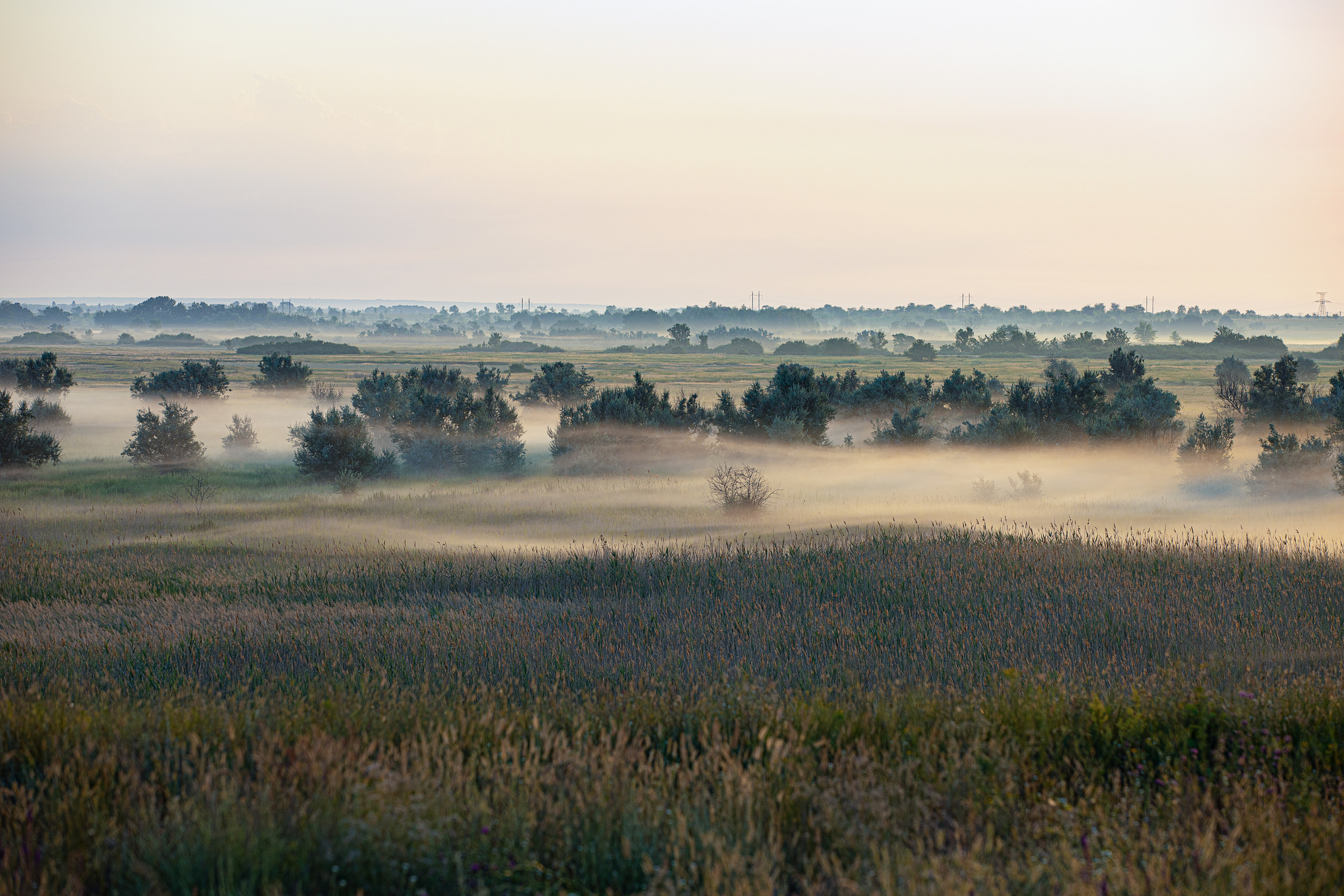 Пейзажи. Фотограф в Волгограде Юрий Егоров