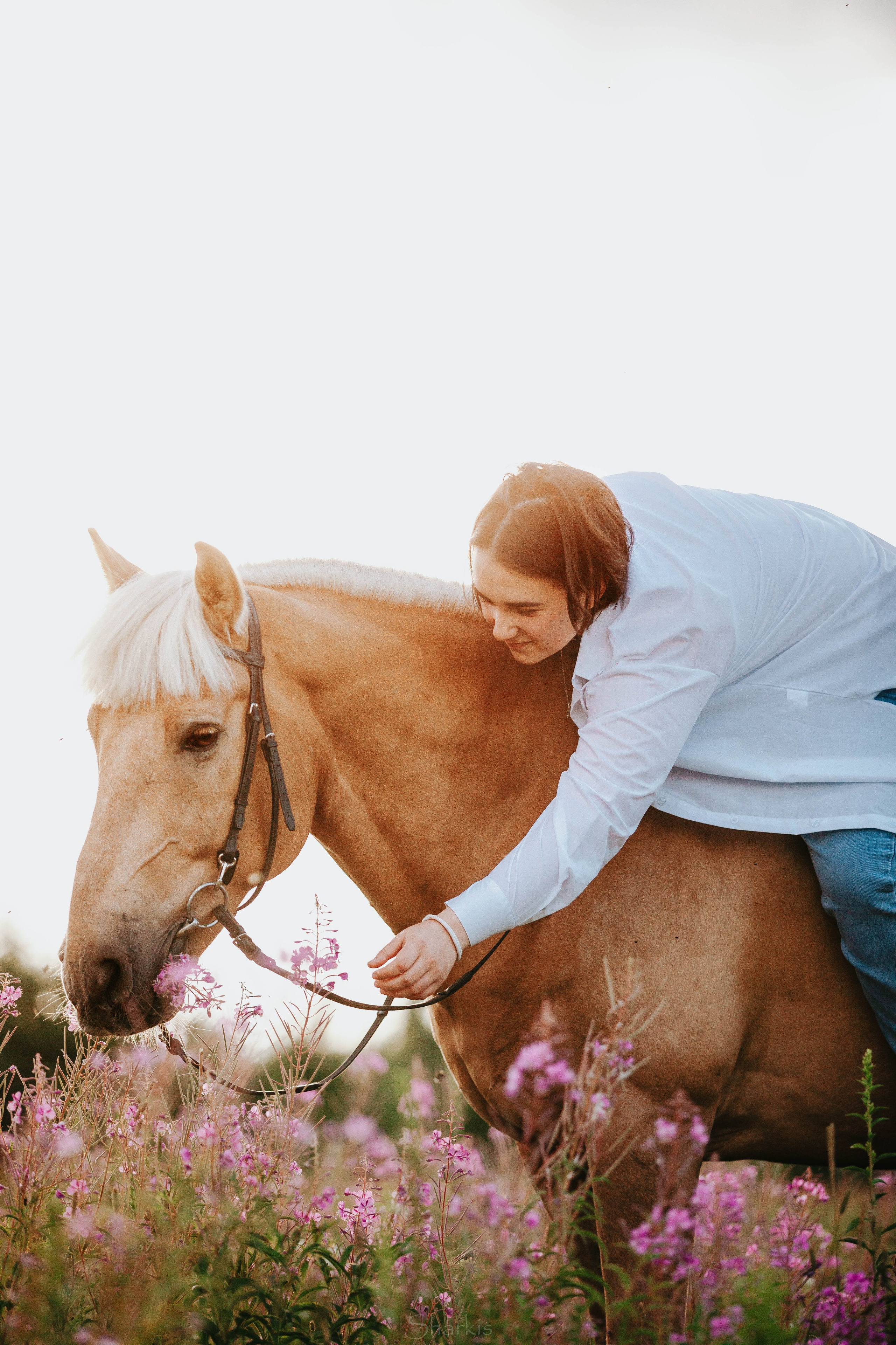 Алина и Гешефт. Главная