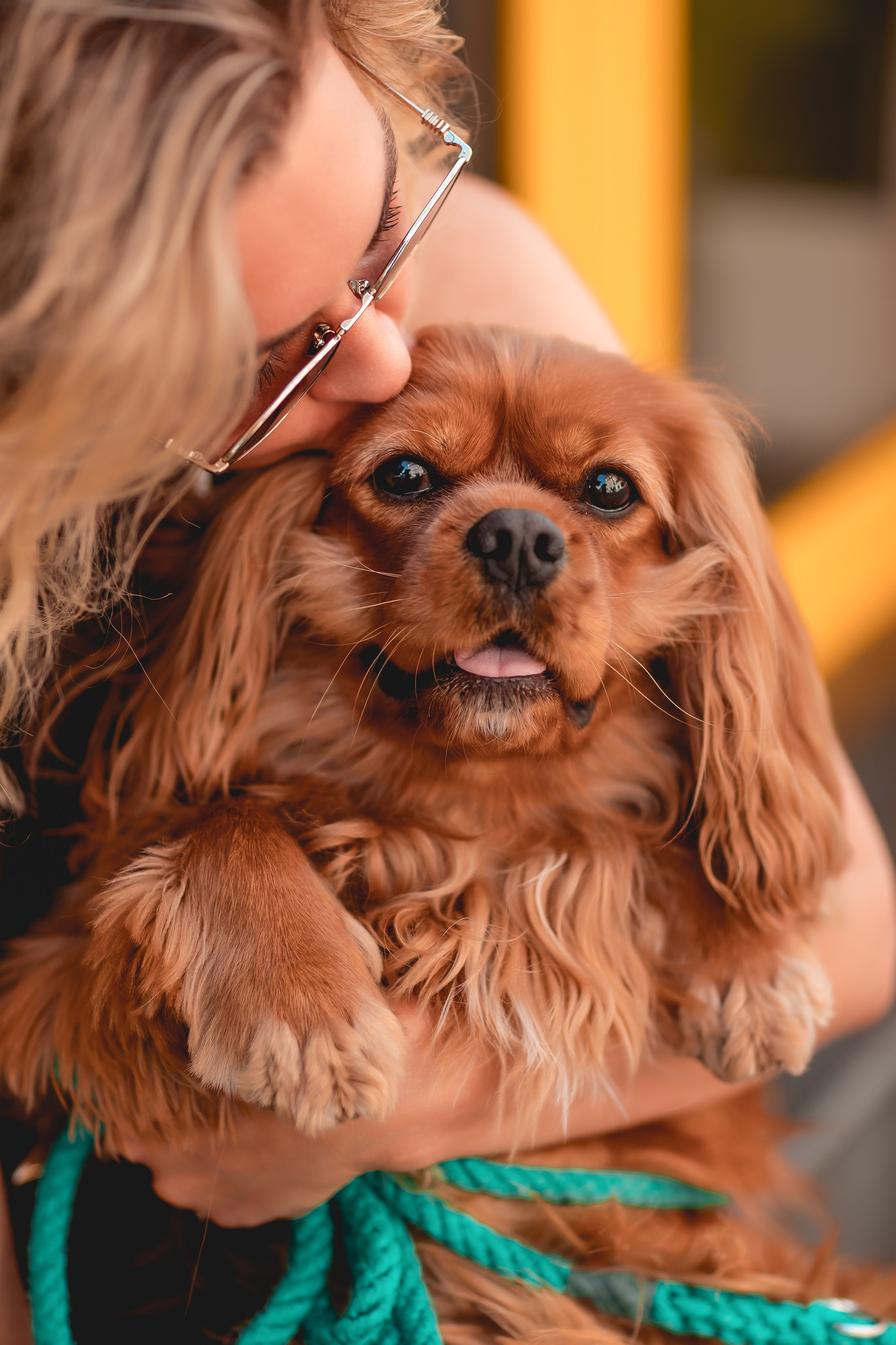 Диана и Балу. Семейный фотограф анималист Мария Крючкова