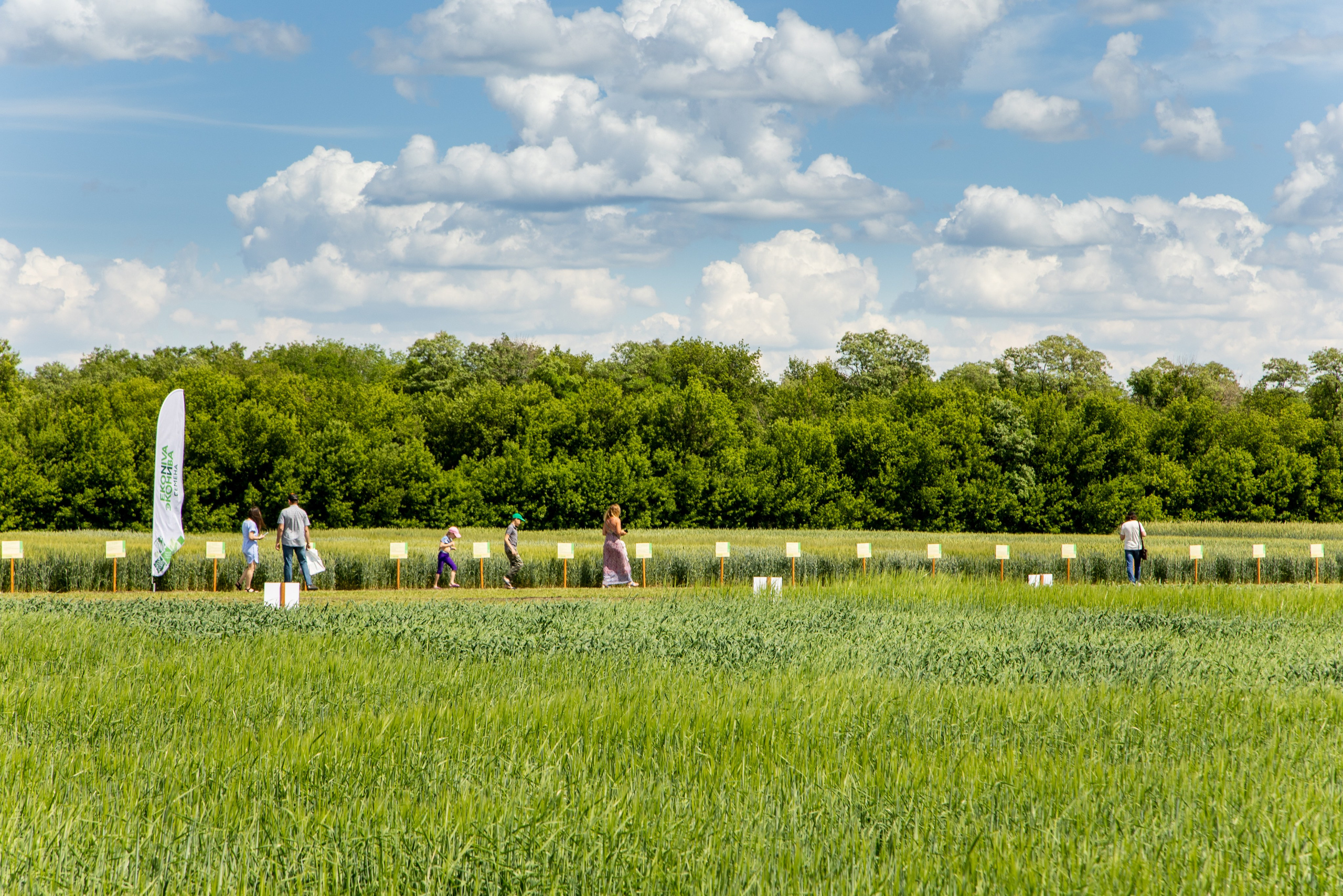 День Поля 2022. Владислав Волков | Фотография и видеосъемка в Воронеже