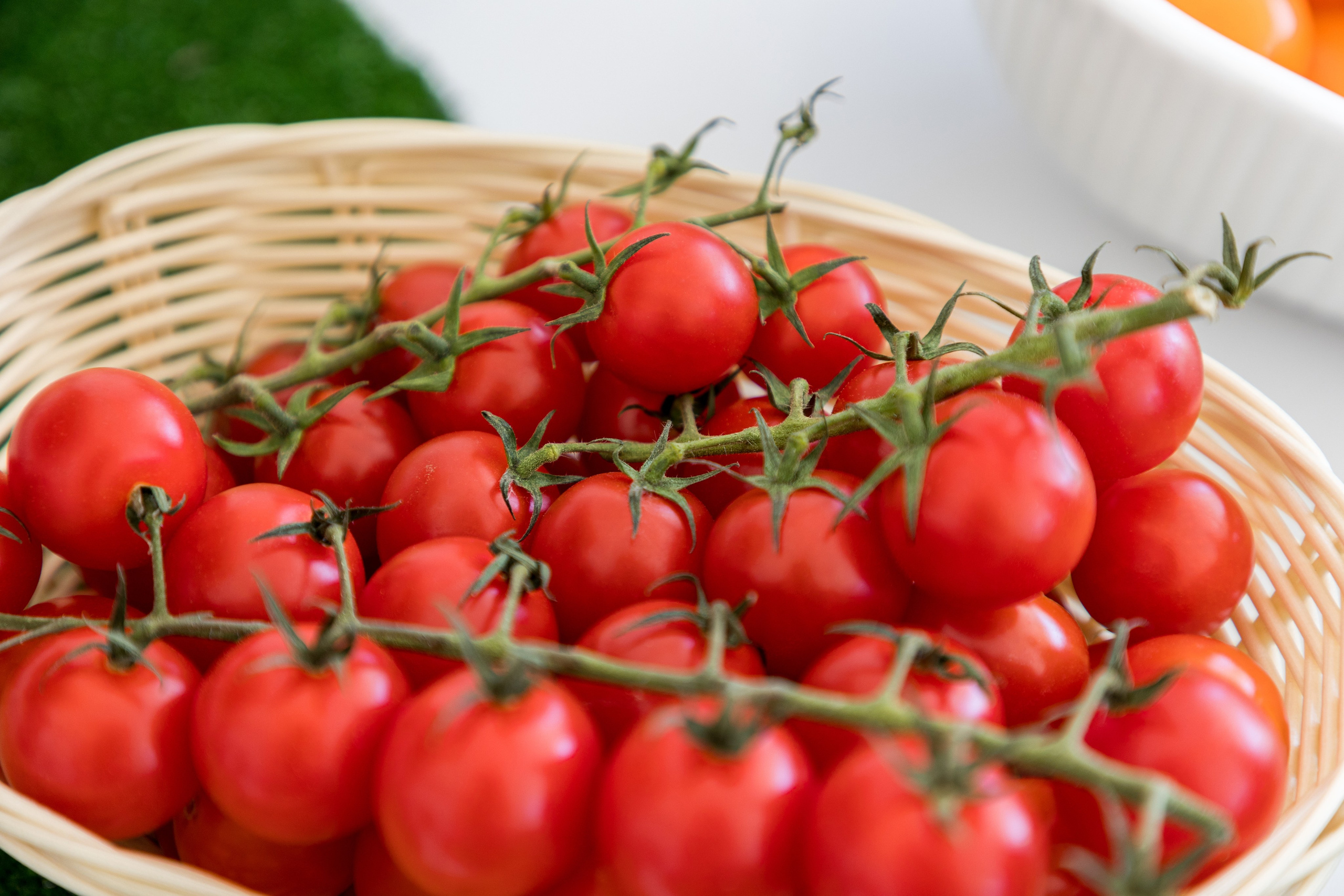 Воронеж Агро-Первый камень. Владислав Волков | Фотография и видеосъемка в Воронеже