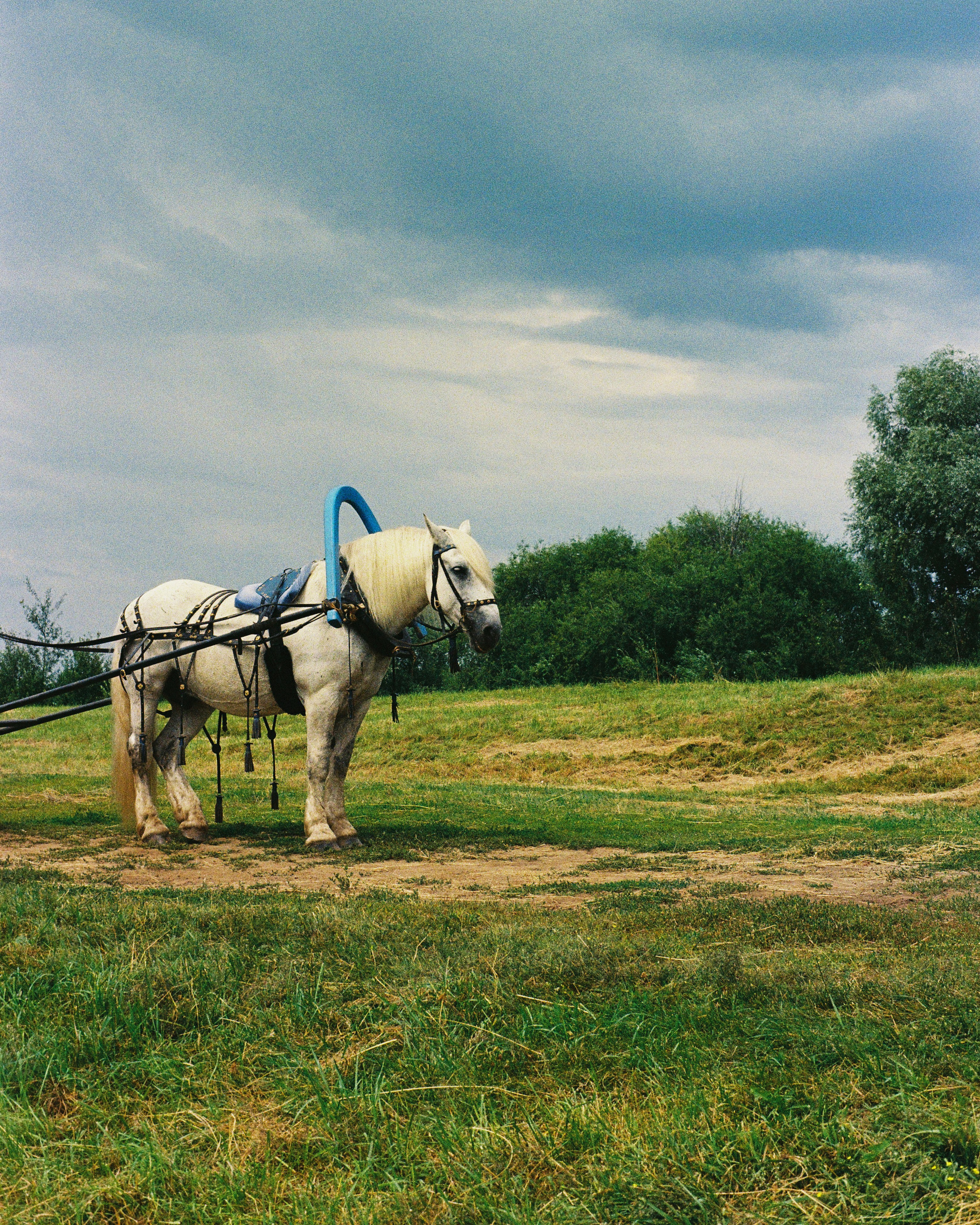 Це́рковь Покрова́ на Не́рли́. ANNA — PHOTOGRAPHER