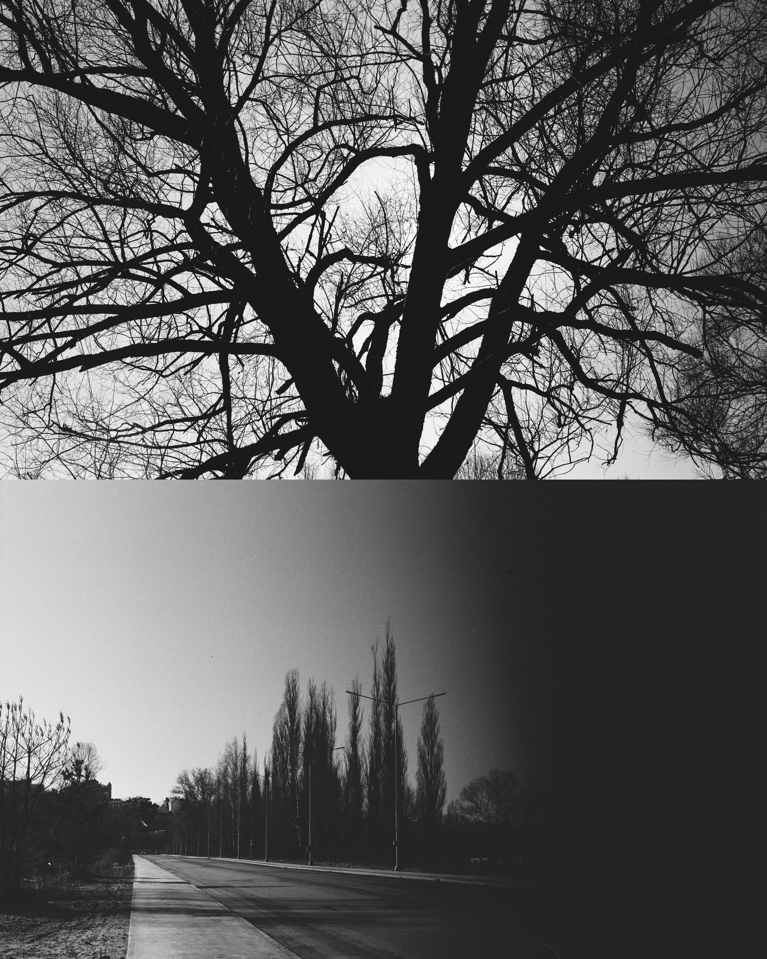 KALUGA. ANNA — PHOTOGRAPHER