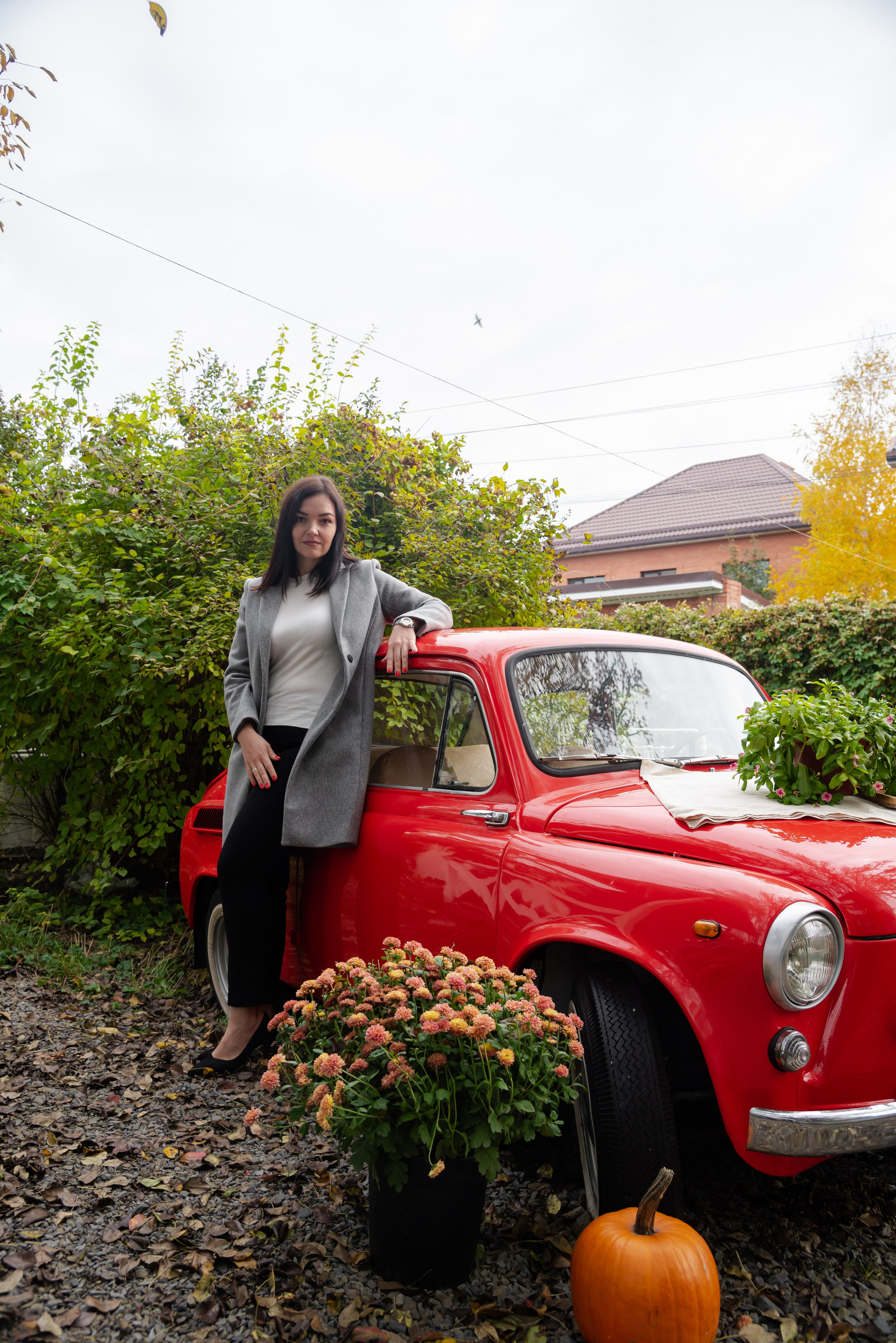 Авакадо. Фотограф Галина Нестерова