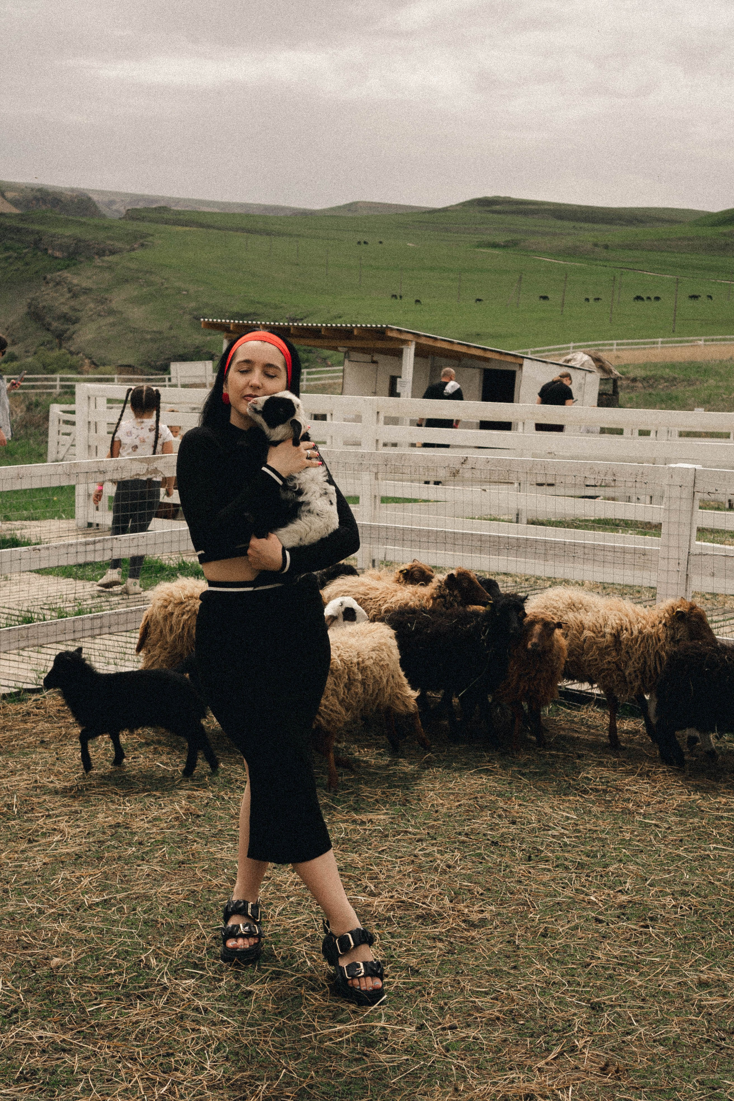 Ферма Альпак. Профессиональный фотограф, Санкт-Петербург — Виктория Богомолова