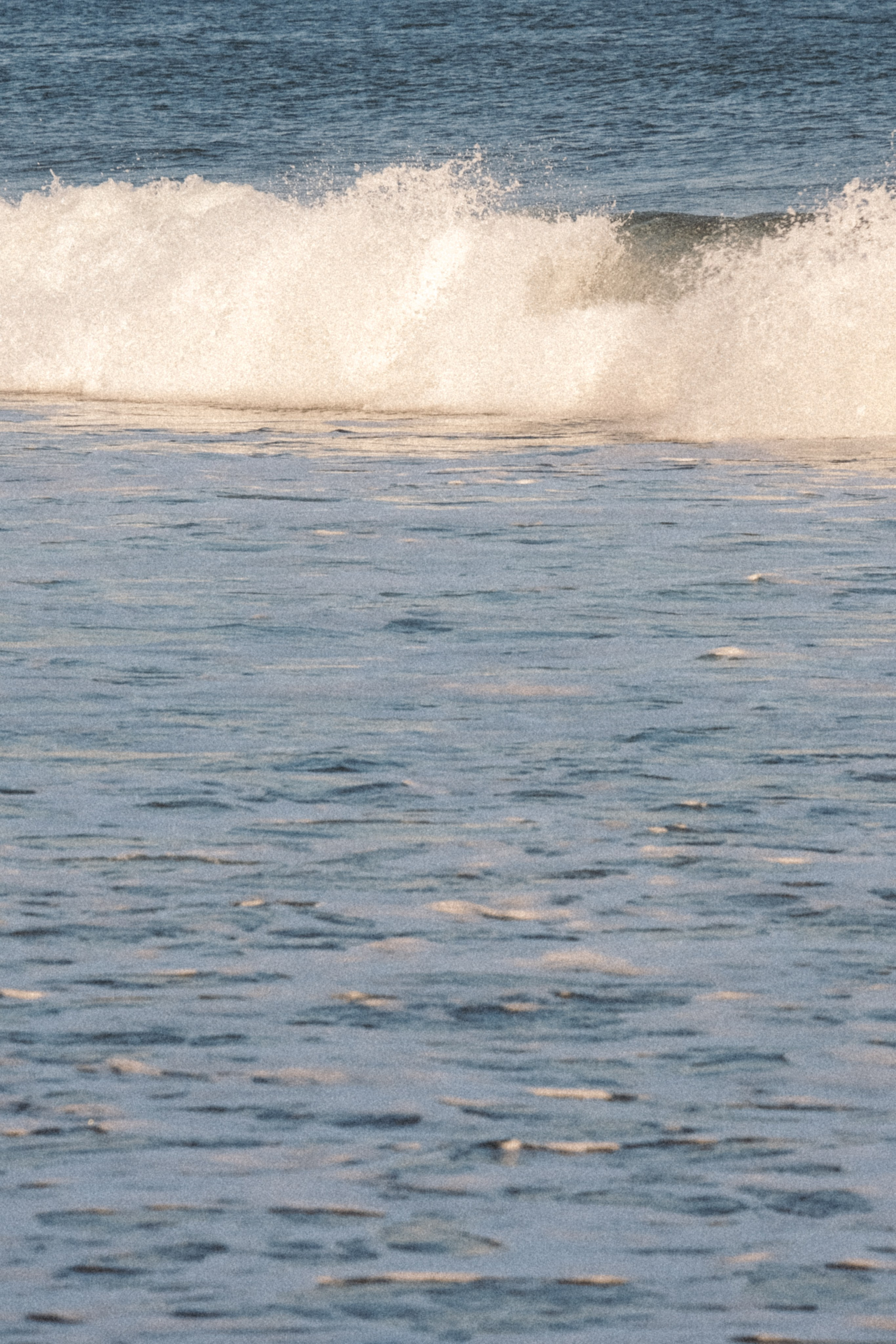 Тихий океан. Профессиональный фотограф, Санкт-Петербург — Виктория Богомолова