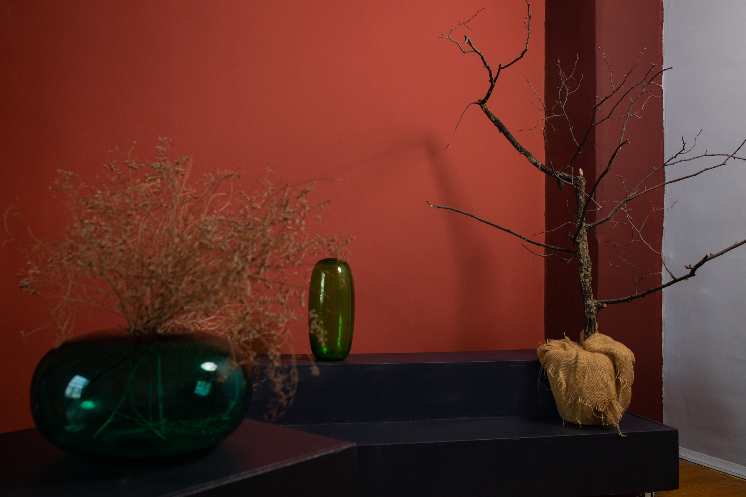 NAKED studio. Фотограф в Москве Нелли Келли