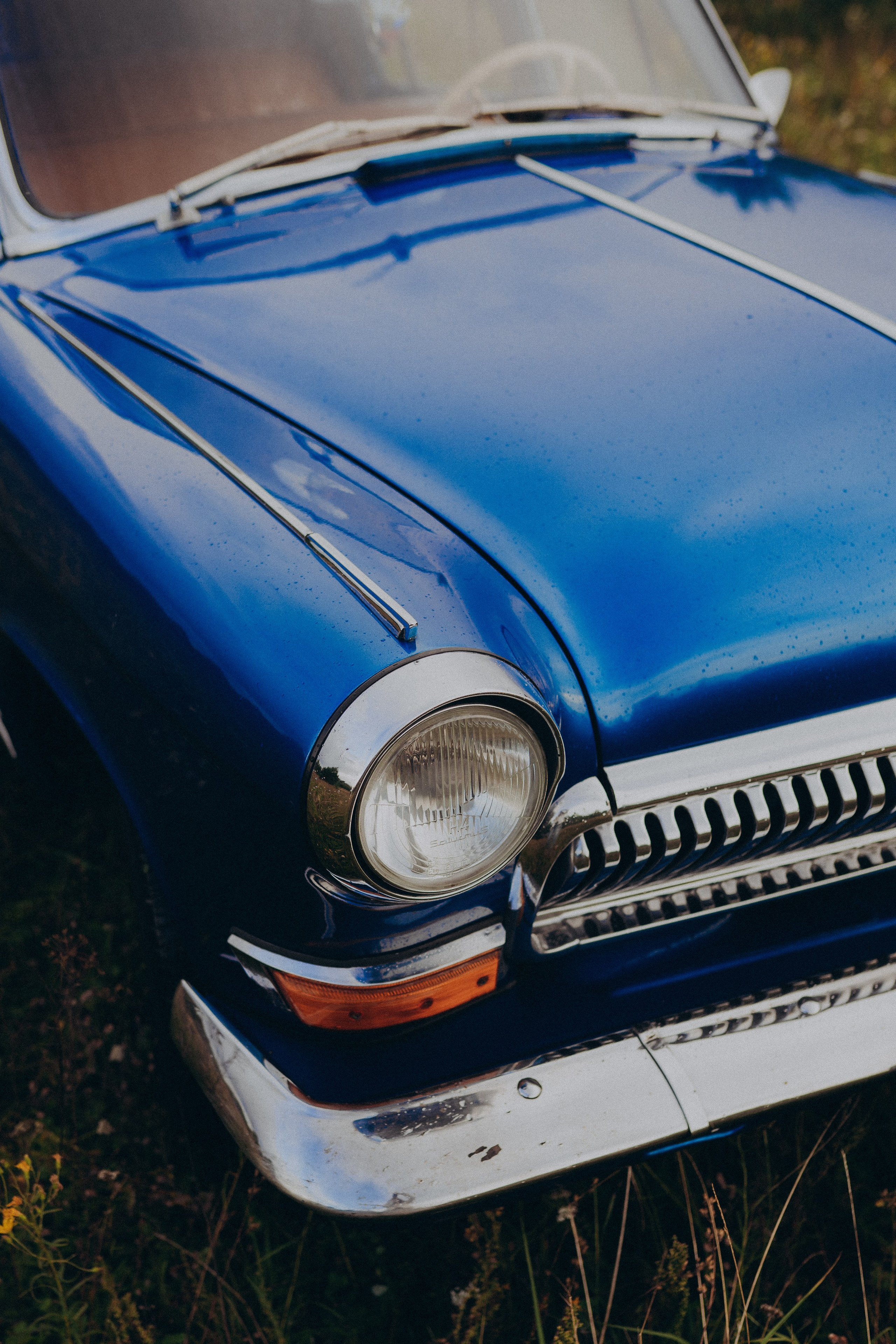 Волга. Фотограф Торопец Кристина Абрамова Kanwellia photography