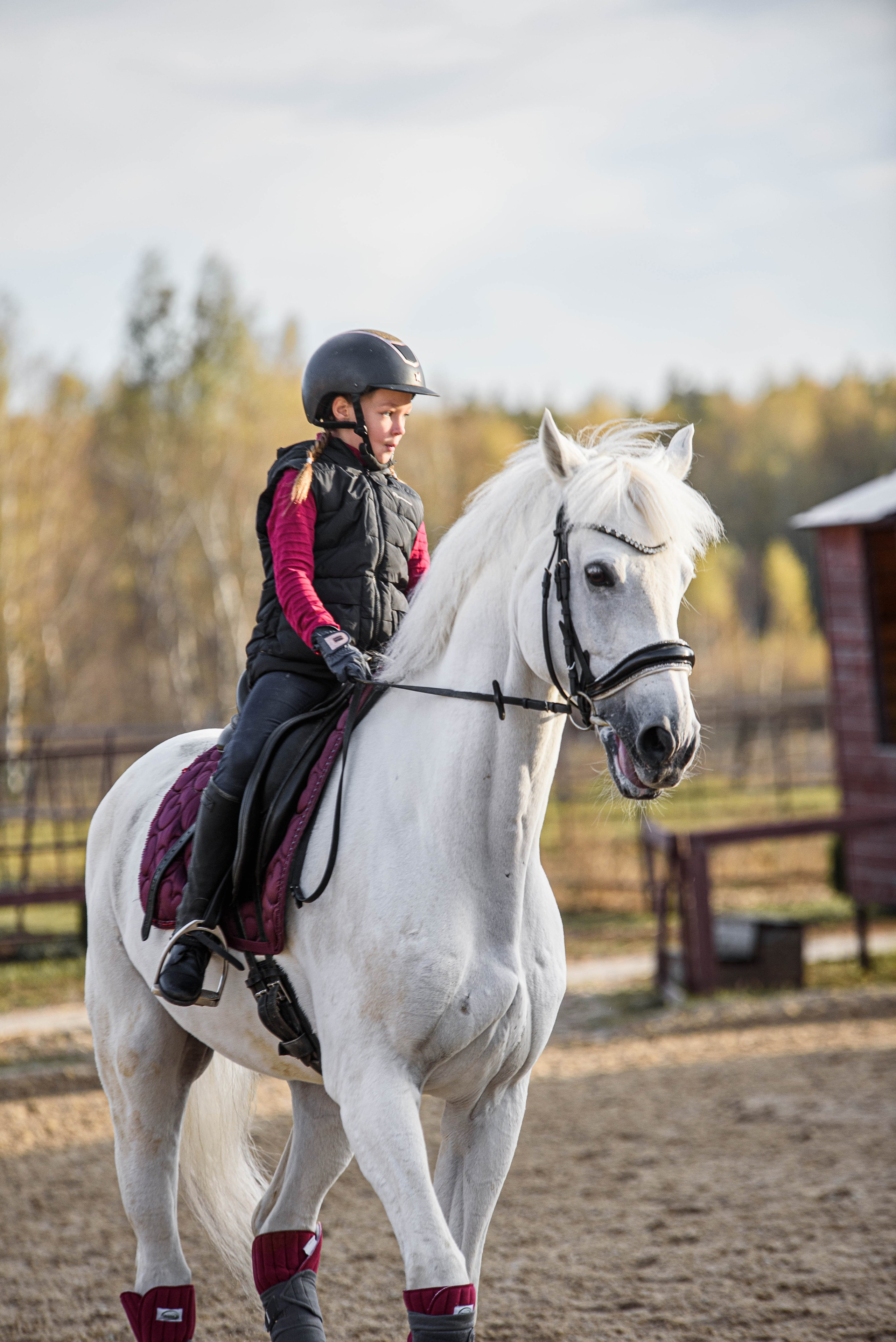 Кони. Мотофотограф в Нижнем Новгороде Динара Зуйкова