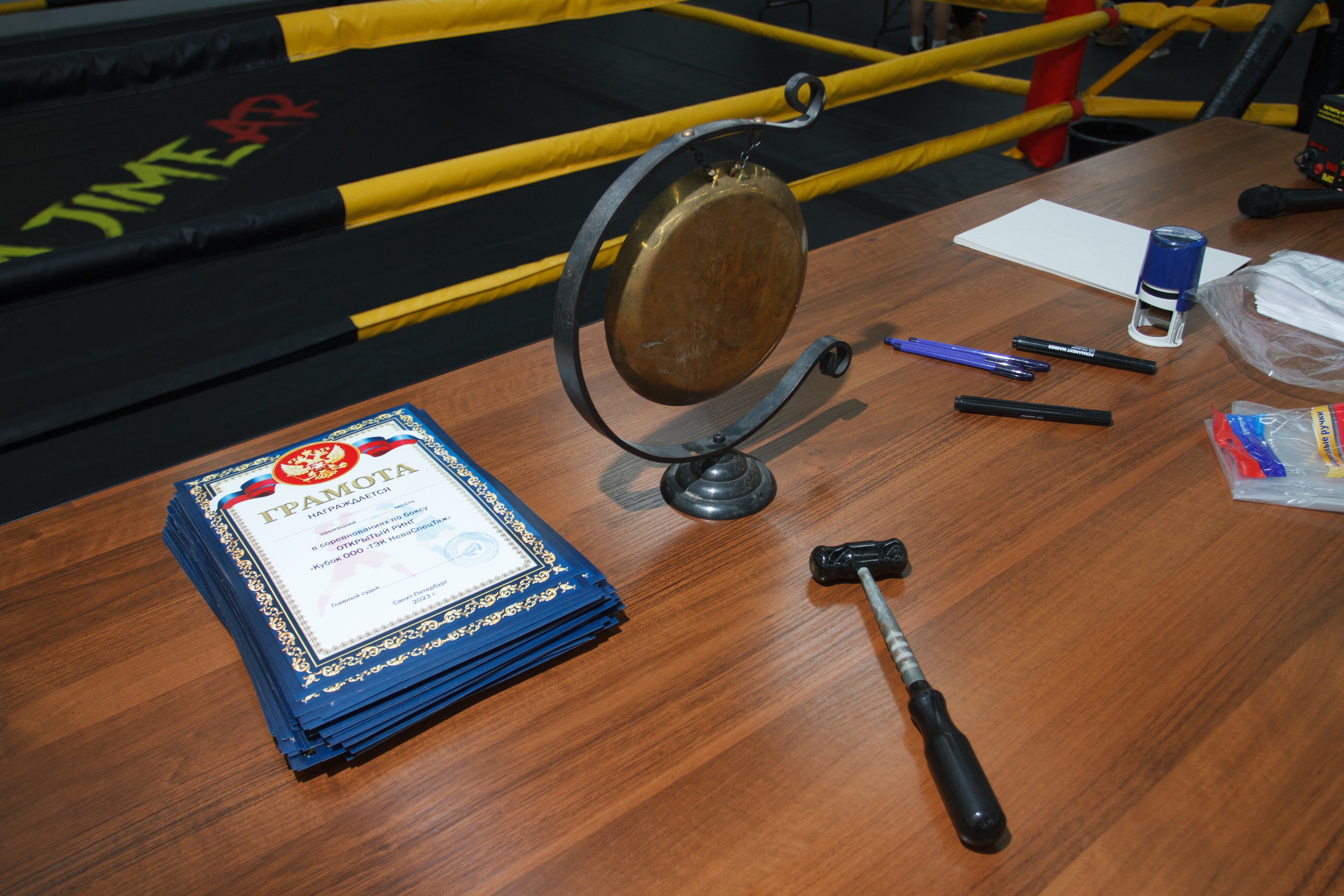 Открытый ринг «кубок ООО «ТЭК НеваСпецТяж». Фотограф Александр Заломаев