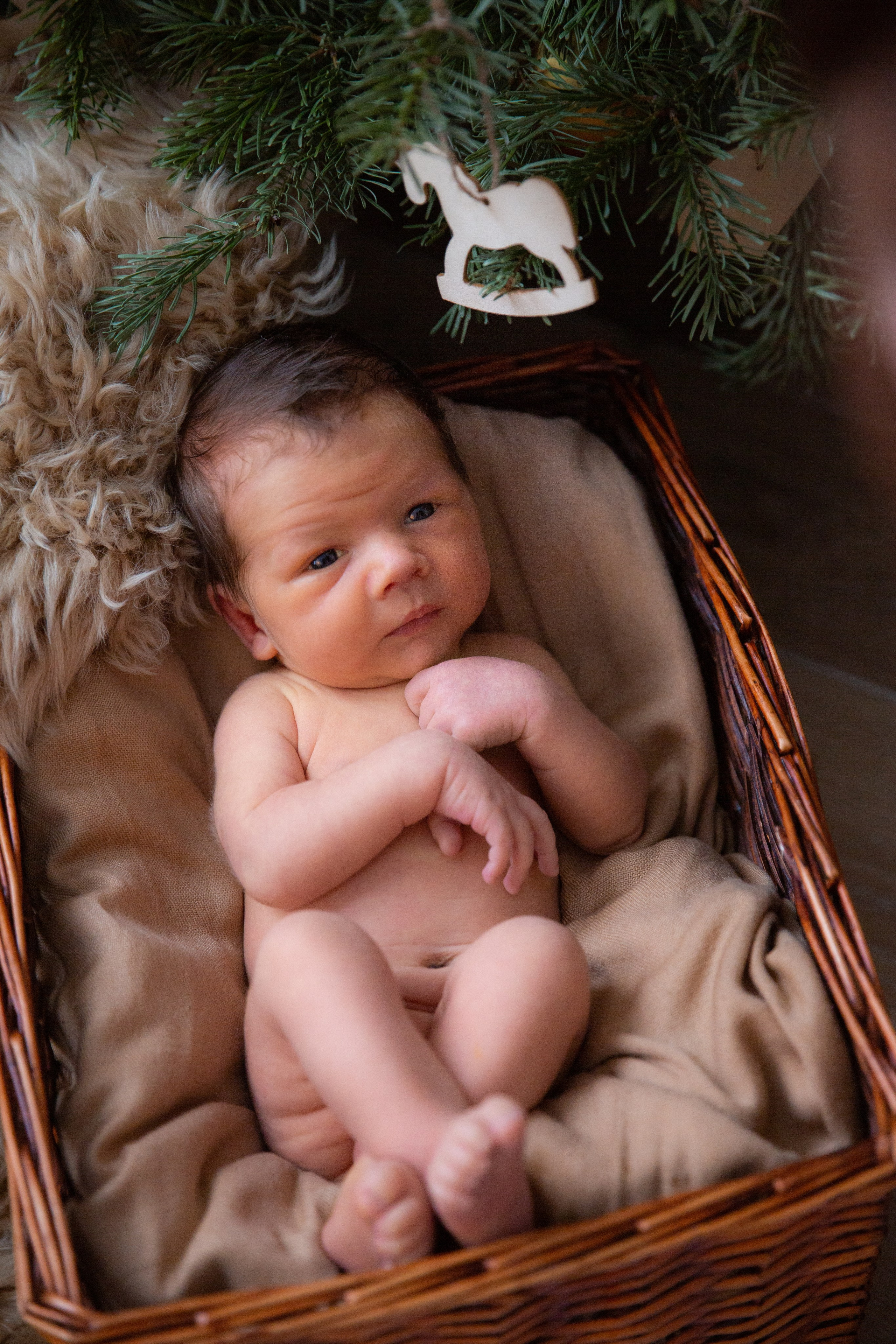 Младенцы. Детский и семейный фотограф в Москве и Подмосковье Светлана Адамова