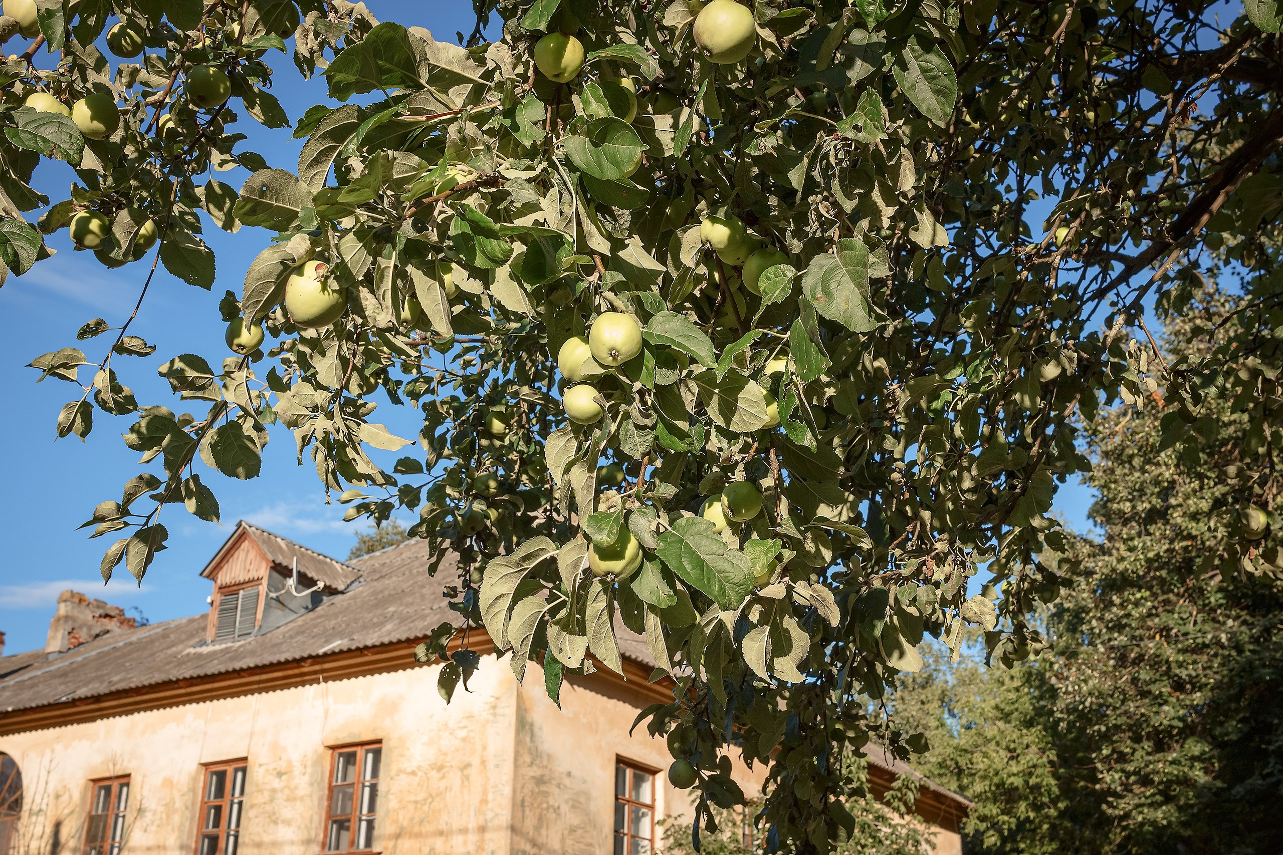 Наш Дом — Земля. Аmat Victoria Сuram