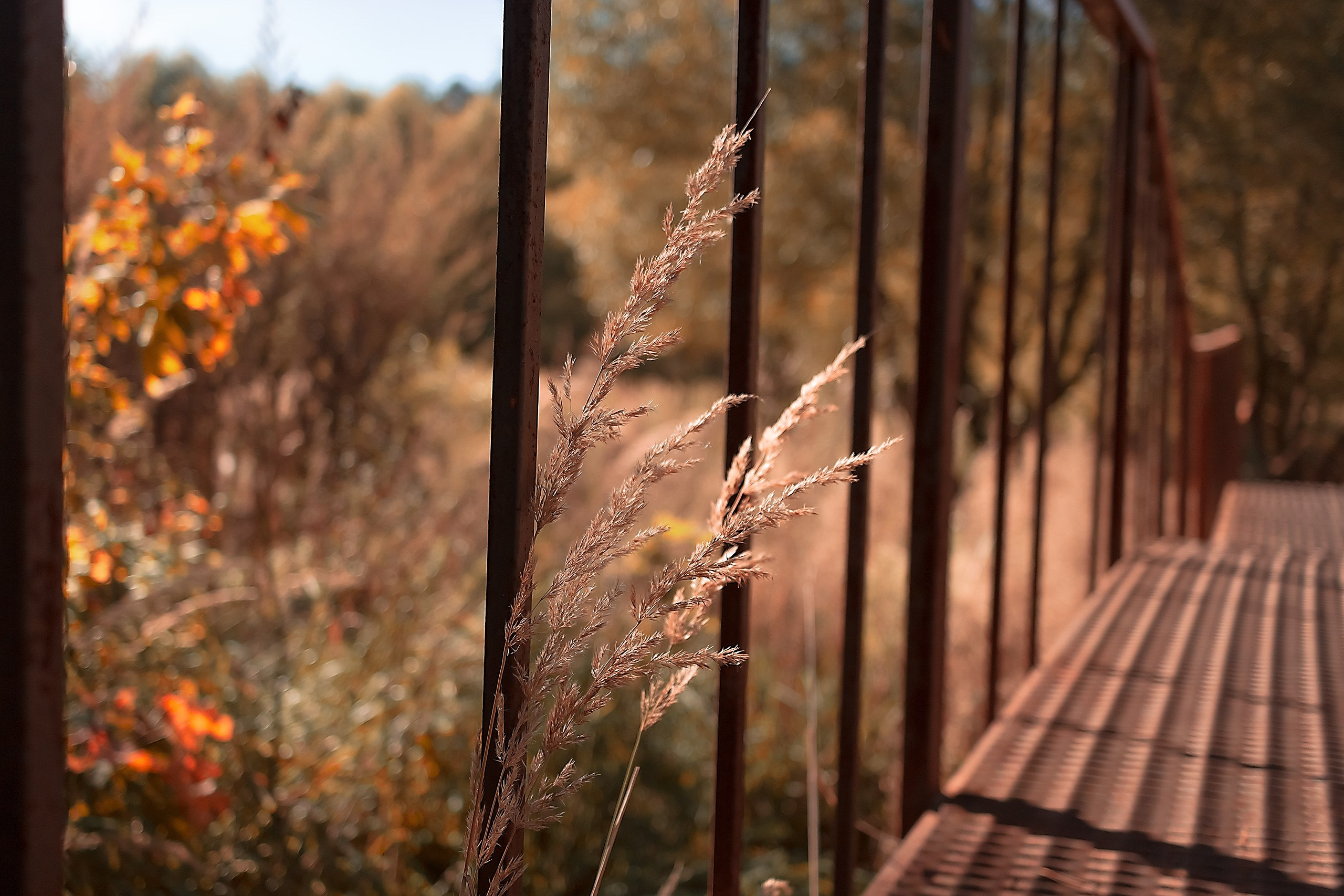 Границы и Рамки. Аmat Victoria Сuram
