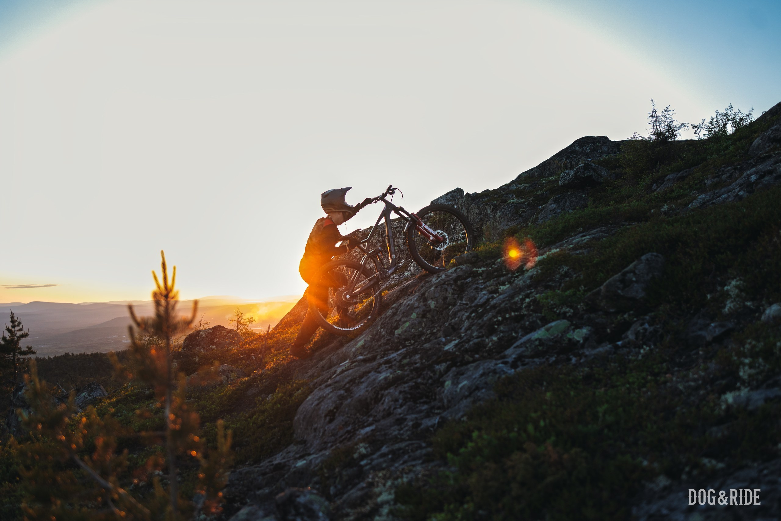 Кандалакшка. Фотограф анималист Никита Натальный