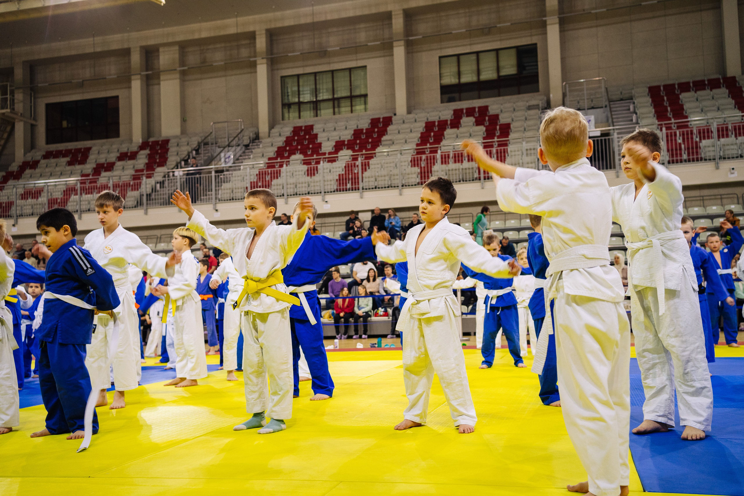Соревнования по дзюдо. Фотограф Самара Мария Арт