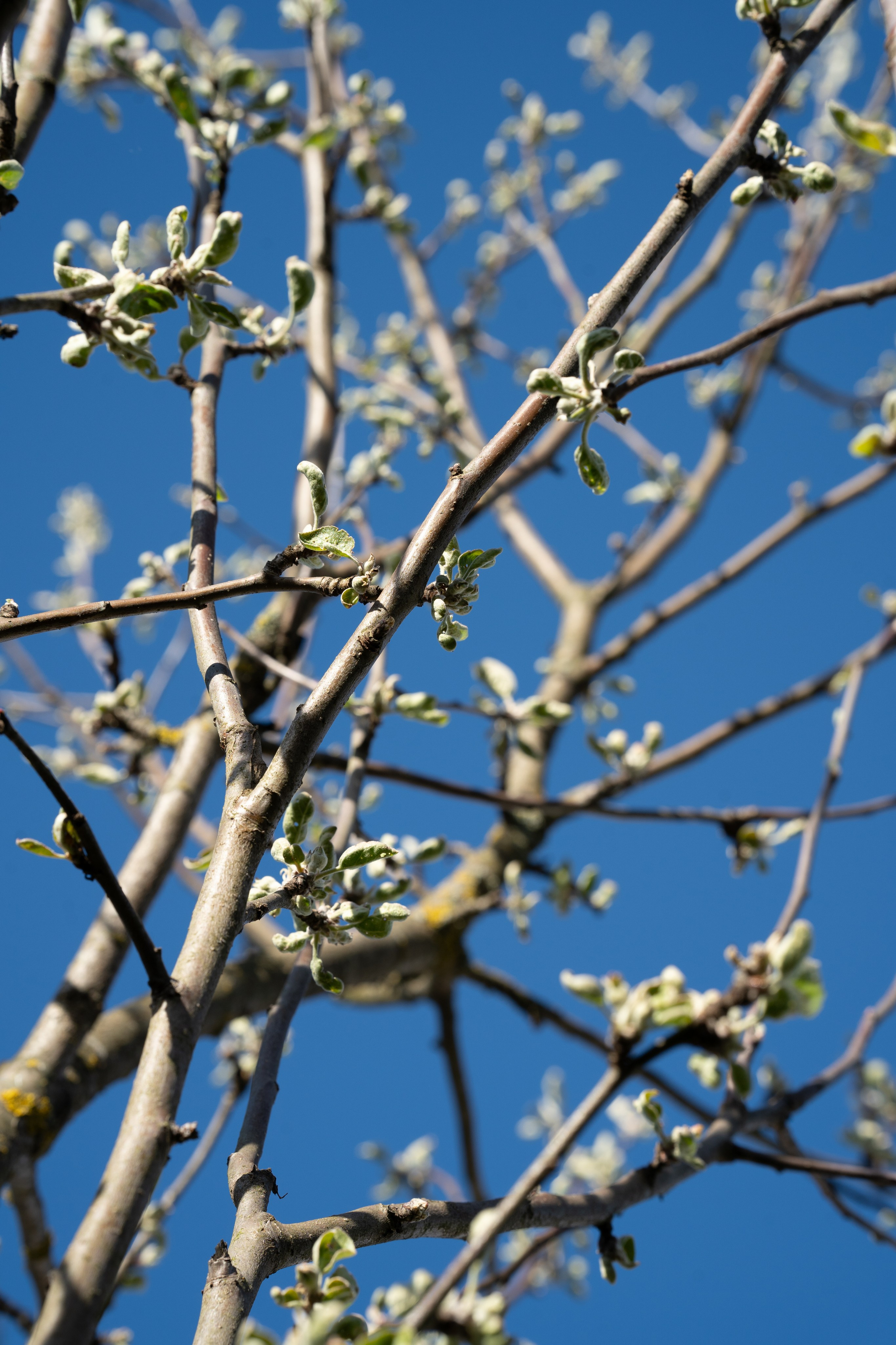 Для души. Фотосессия портрет, ню, будуар, стрит фотограф Москва Юлия Кафизова