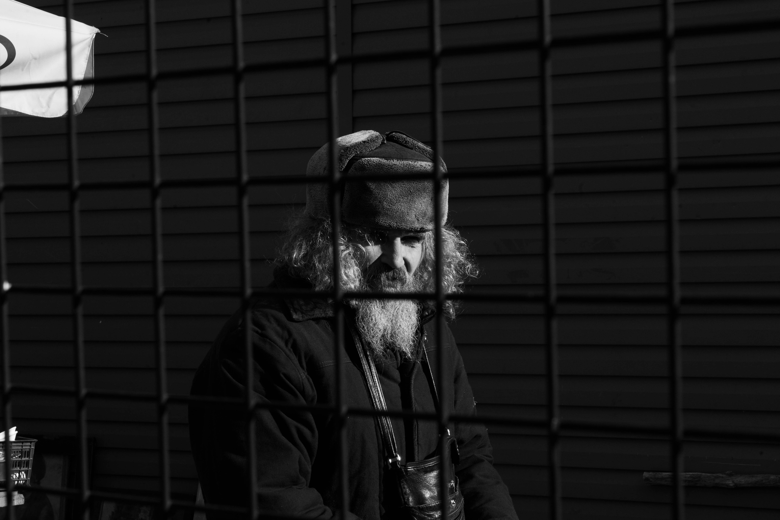 Portrait. Leo Tseboev