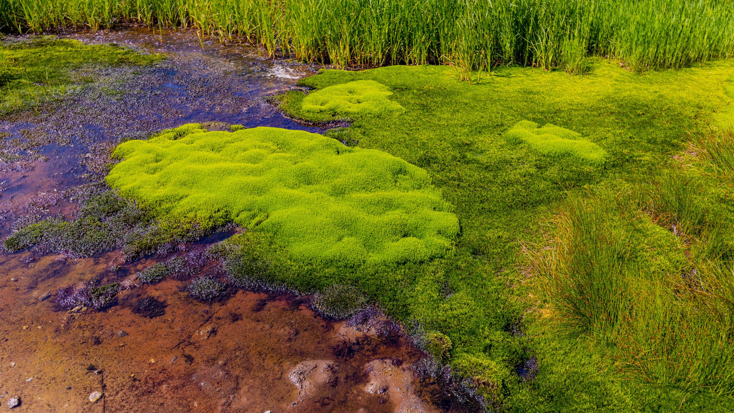 2023 07 Камчатка. Фотографии