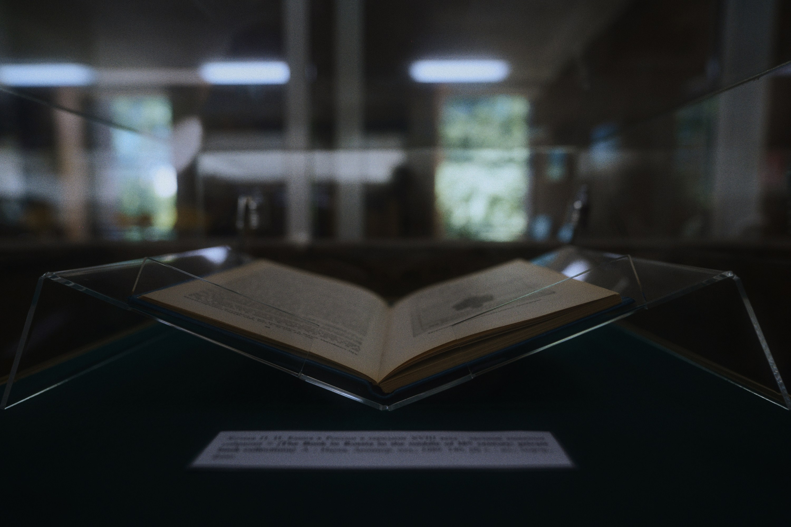 DSPL. Фотограф Юрин Евгений