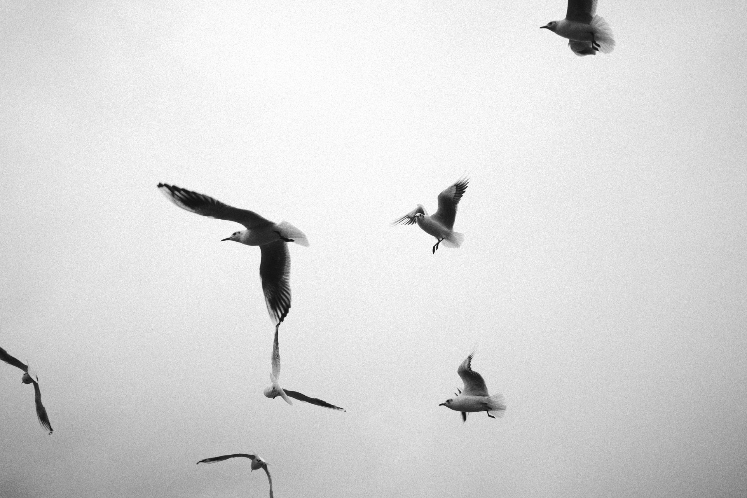 Sochi port (morskaya). Фотограф Юрин Евгений