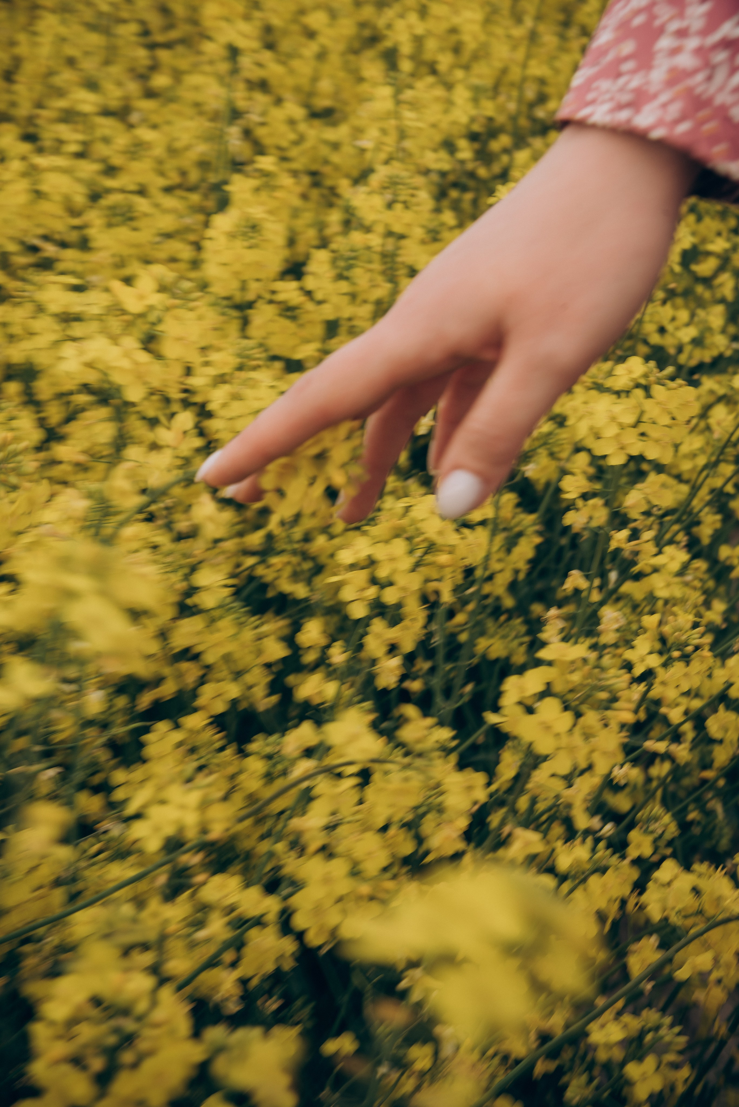 Ира и Саша. Свадебный и семейный фотограф в городе Смоленске