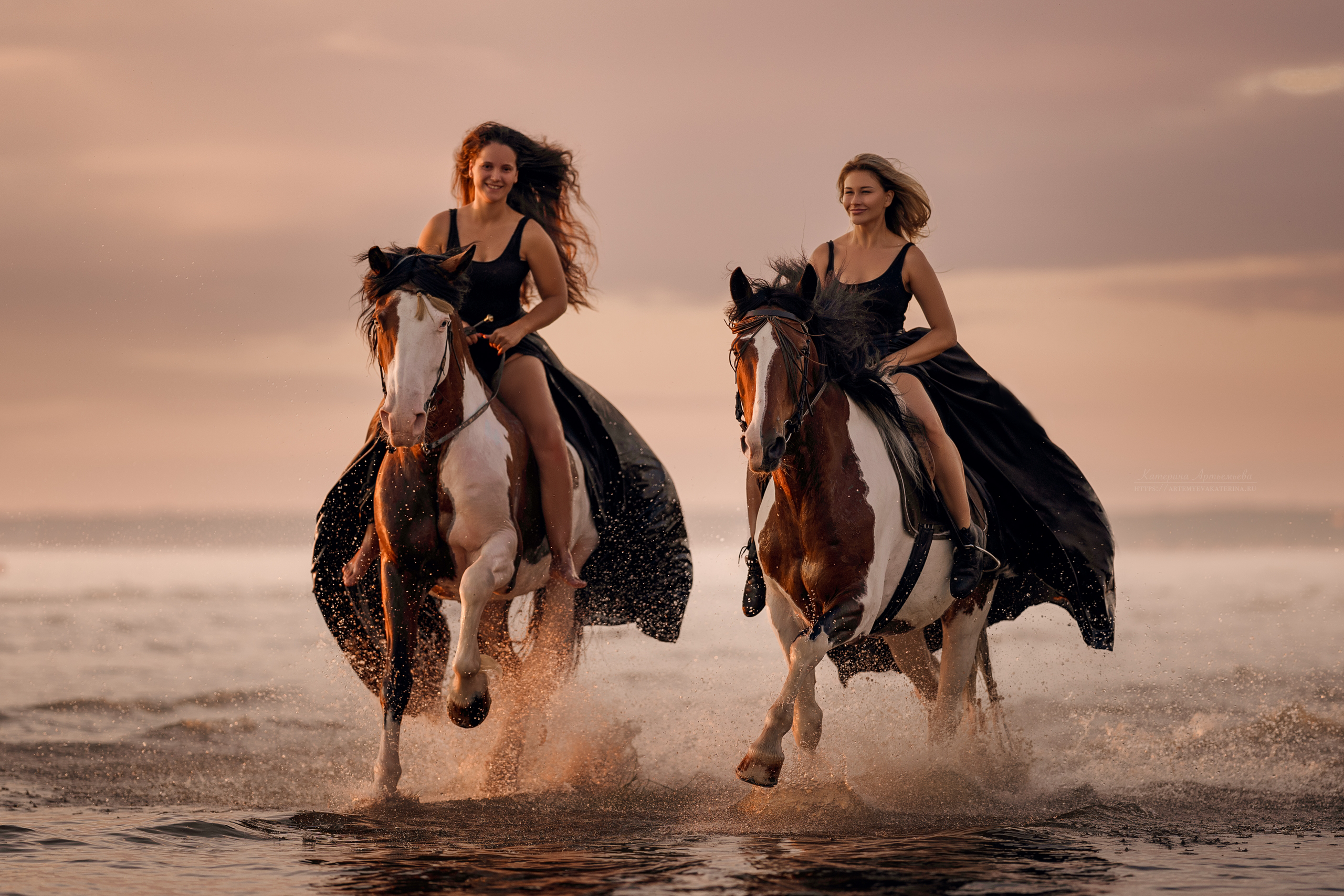 Фотосессии с лошадьми. Фотограф Артемьева Катерина|фотосессии с лошадьми