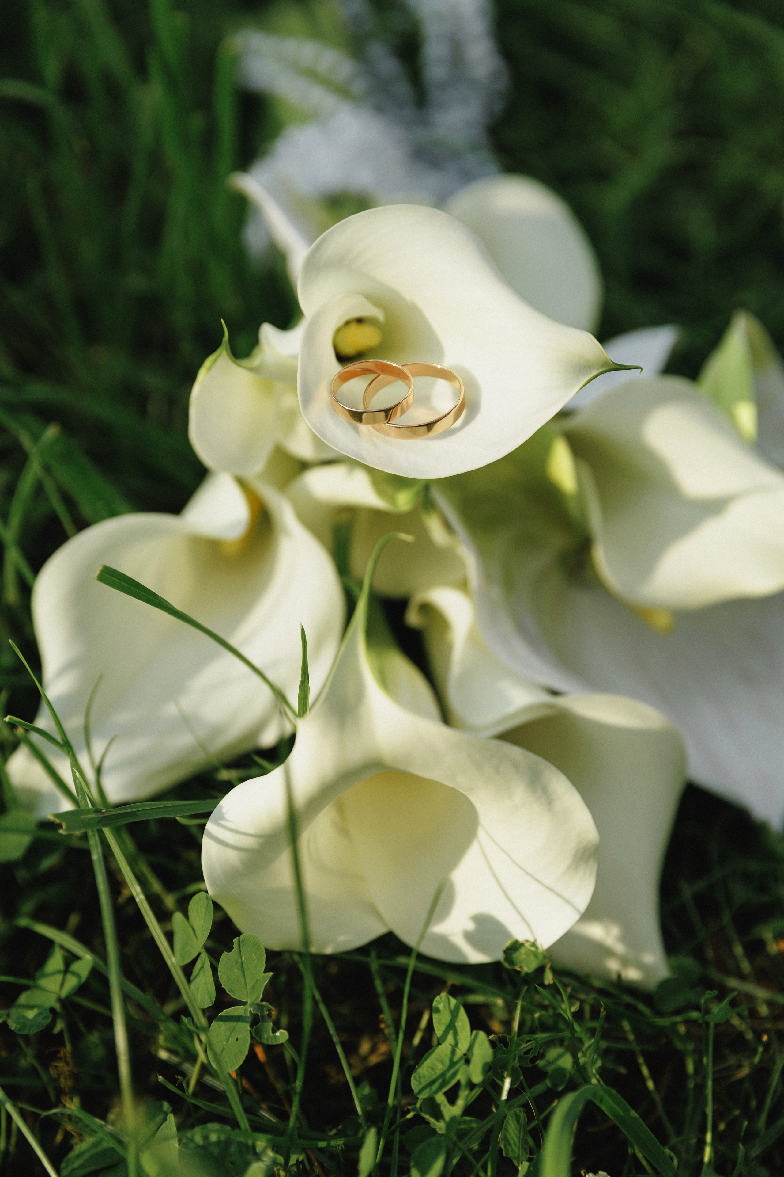 Свадебные серии. Свадебный, love-story и семейный фотограф в Томске Радий Ринатович