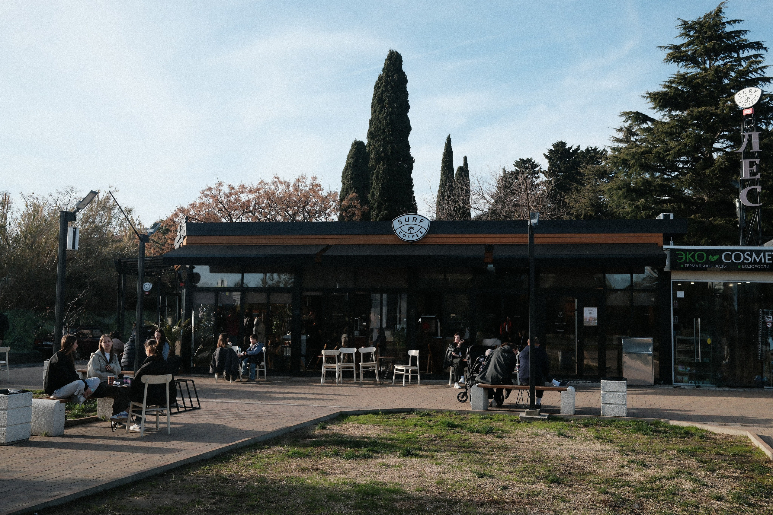 Фотографии зимнего Адлера. Алексей Торопов фотограф