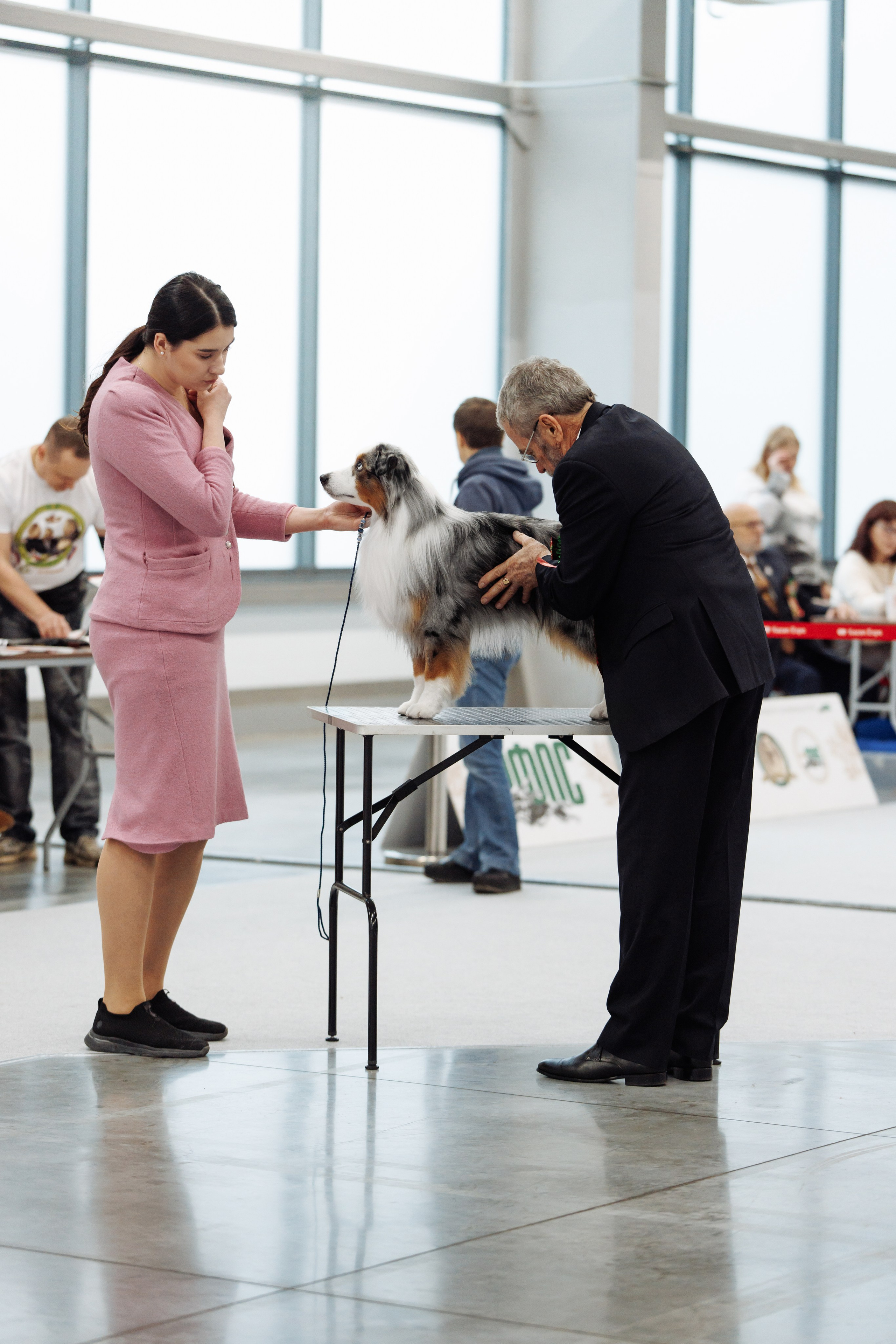 29-30.11.2025 — Казань «Зилант». Фотограф-анималист Саша Вязьмина