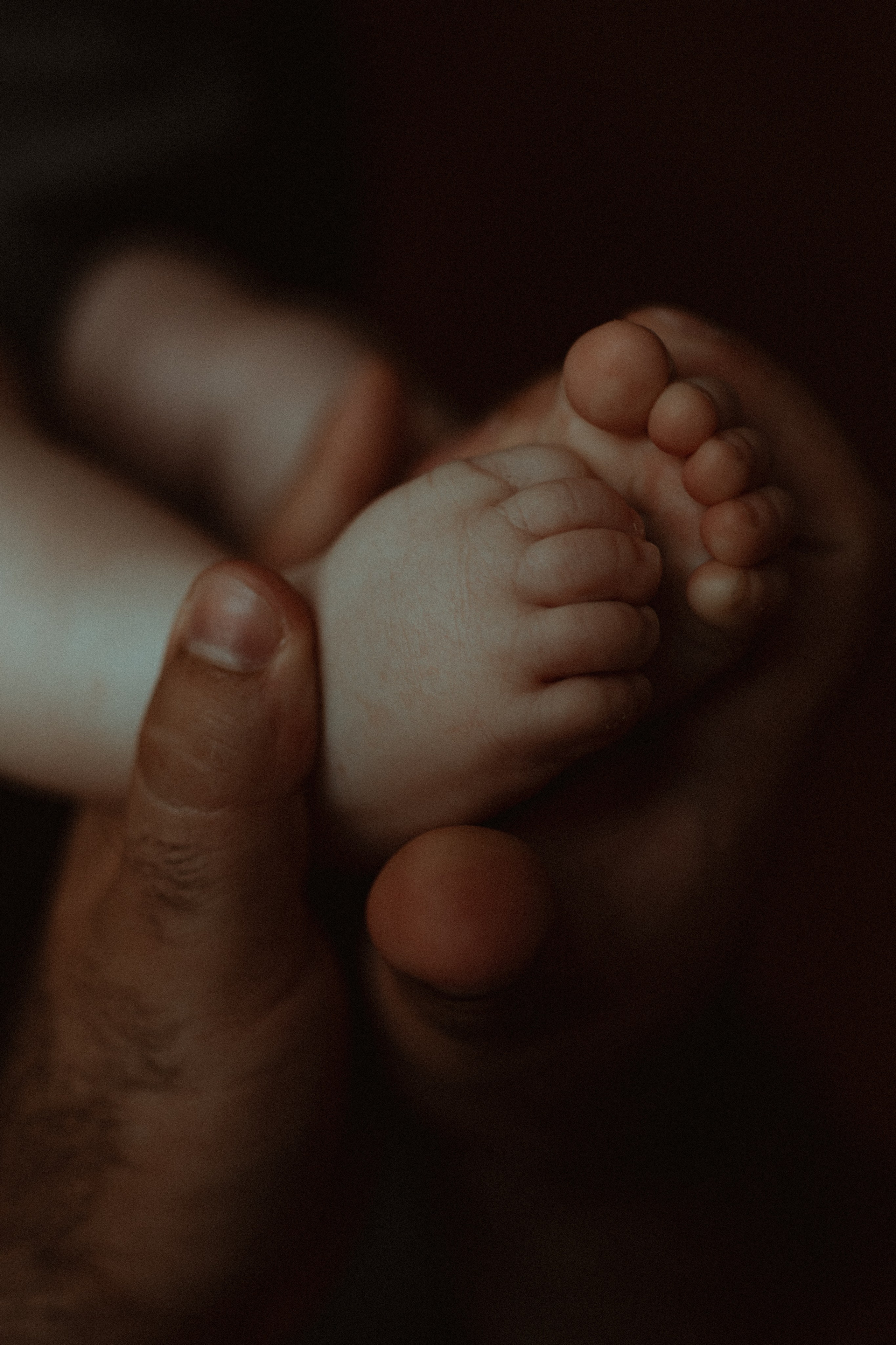 Фотосессия на полгодика. Семейный фотограф в Москве и Люберцах Юлия Гуськова