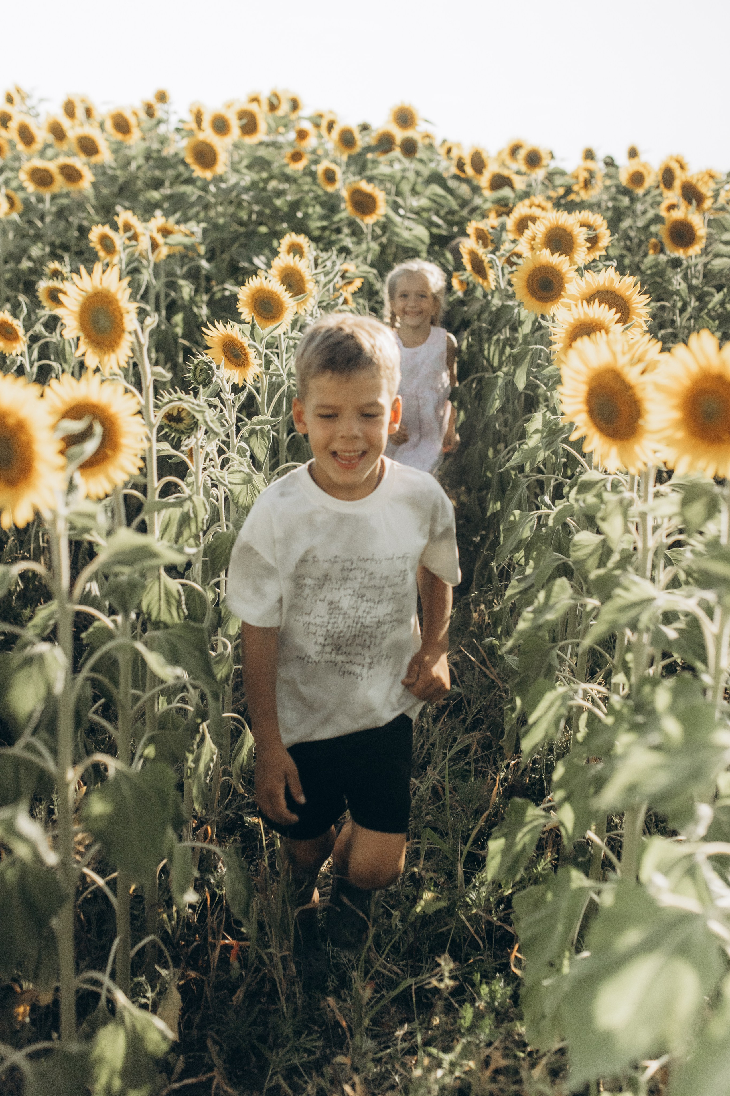 Дети и подсолнухи. Семейный фотограф lifestyle в Новосибирске Елена Шпилевая