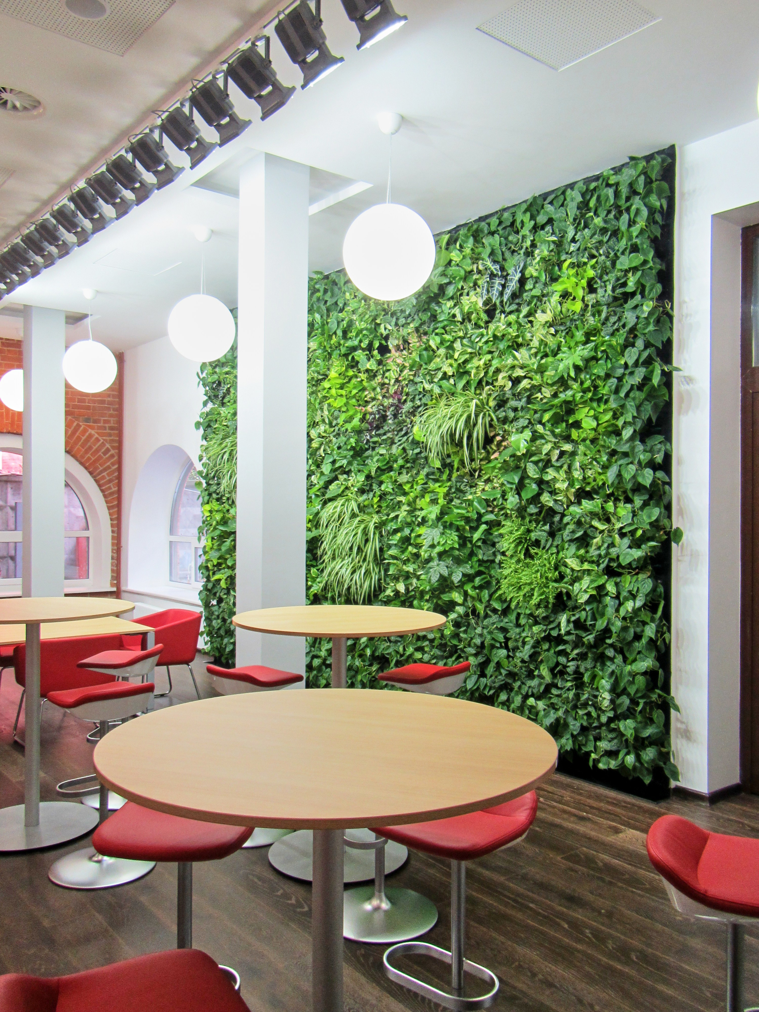 Озеленение ГК Techo. Фото и видео съемка в Сочи Адлере Красной поляне