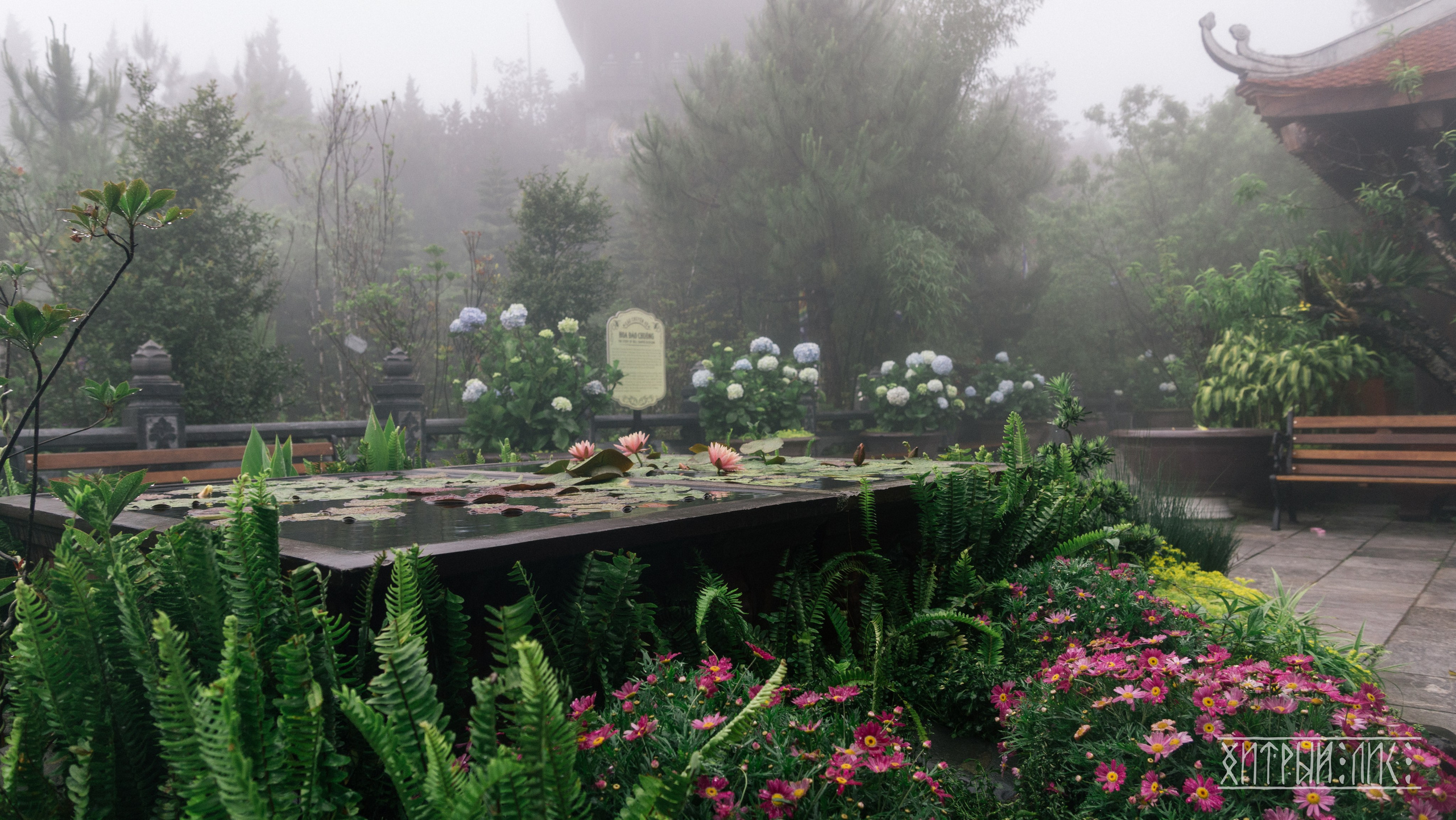 Вьетнам. Фотограф-путешественник Самойлов Максим «Sly Fox»