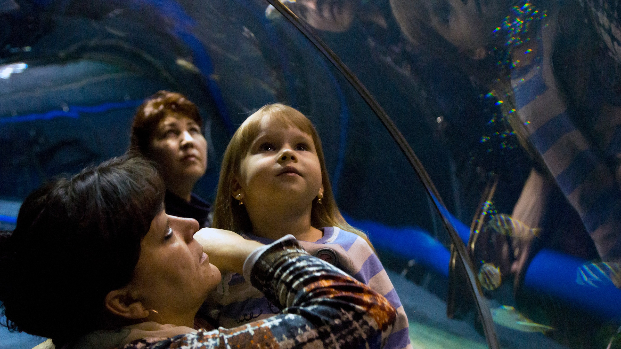 Астана. Фотограф-путешественник Самойлов Максим «Sly Fox»