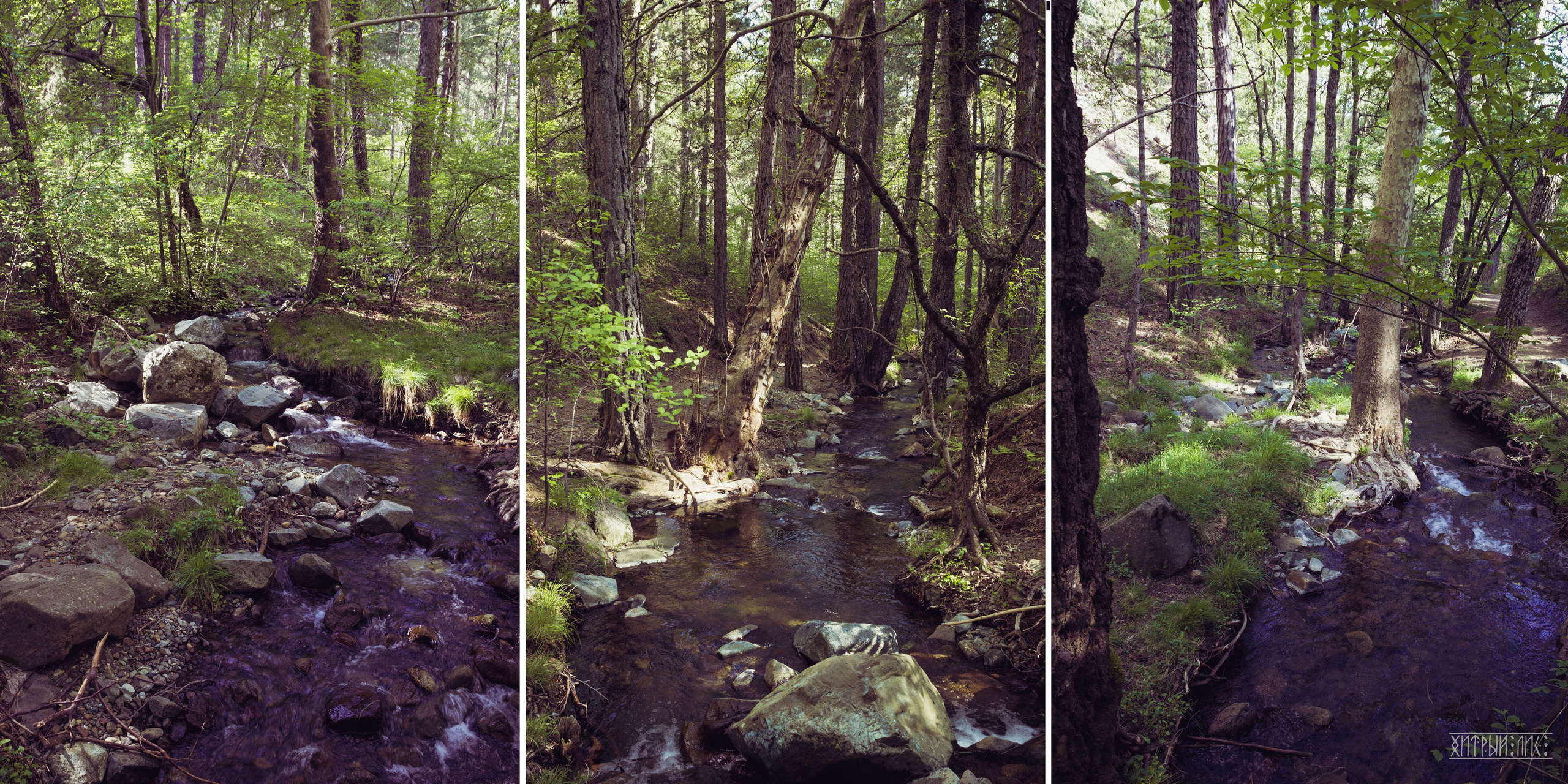 Кипр. Фотограф-путешественник Самойлов Максим «Sly Fox»