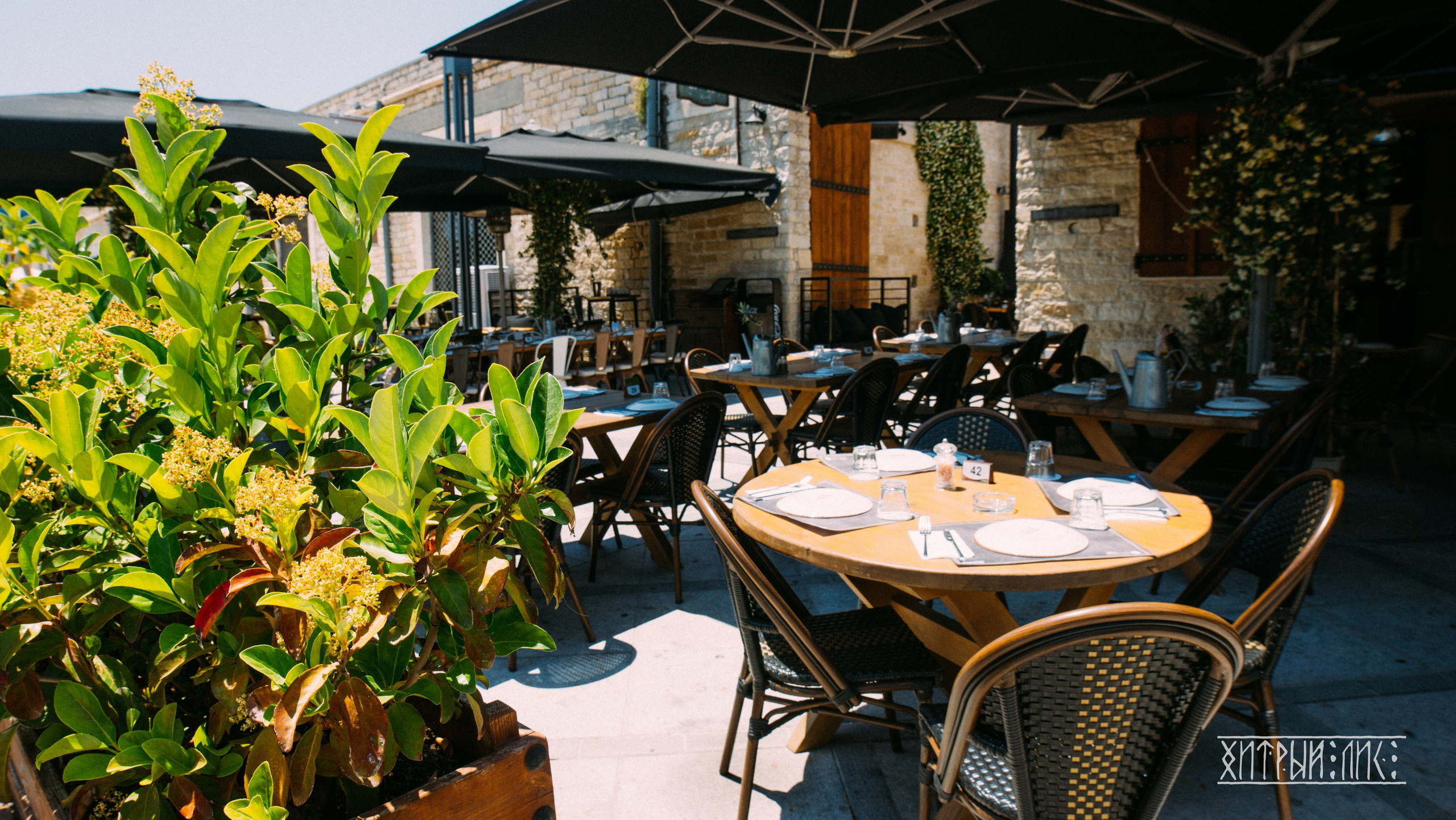 Кипр. Фотограф-путешественник Самойлов Максим «Sly Fox»