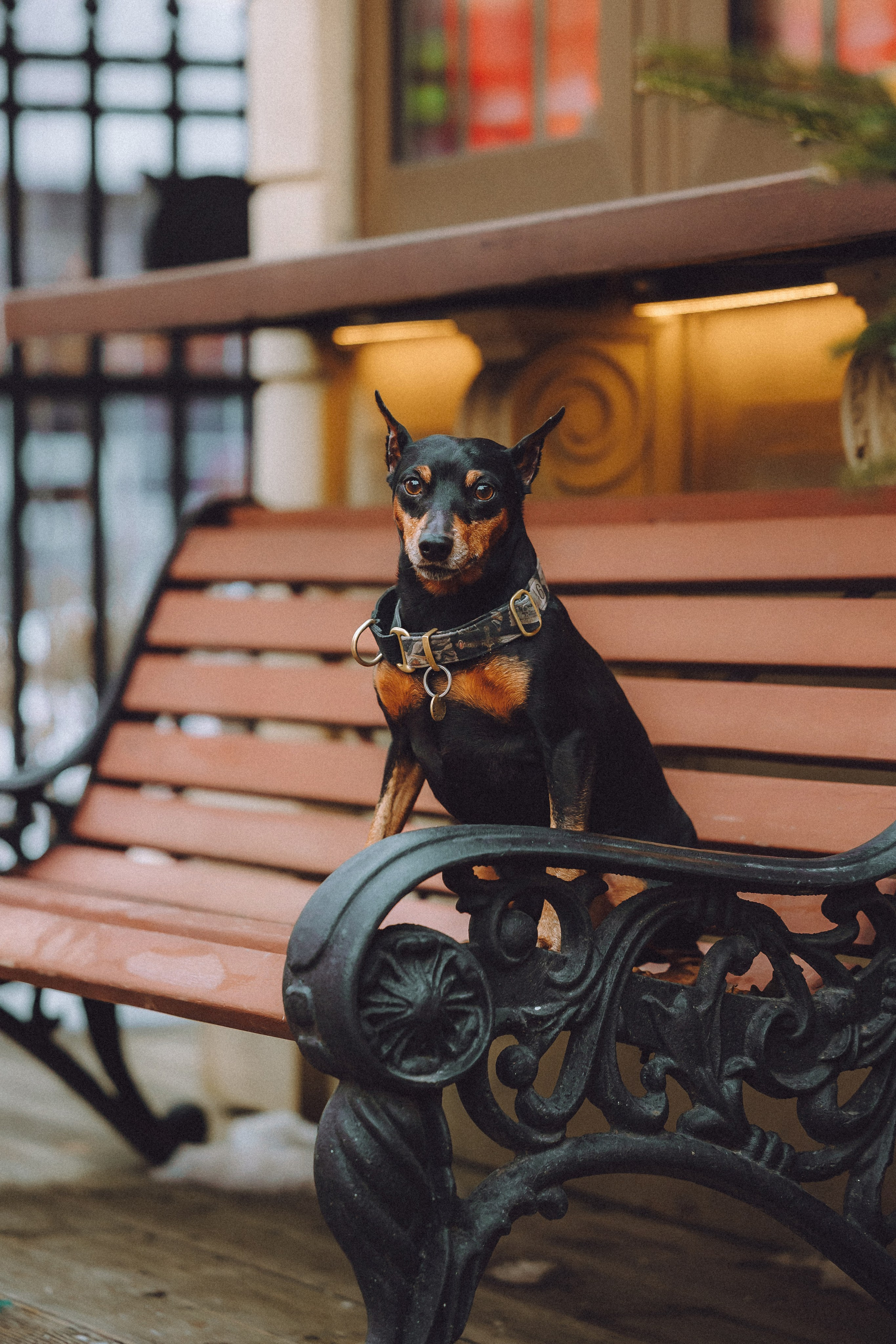 Топик и его семья