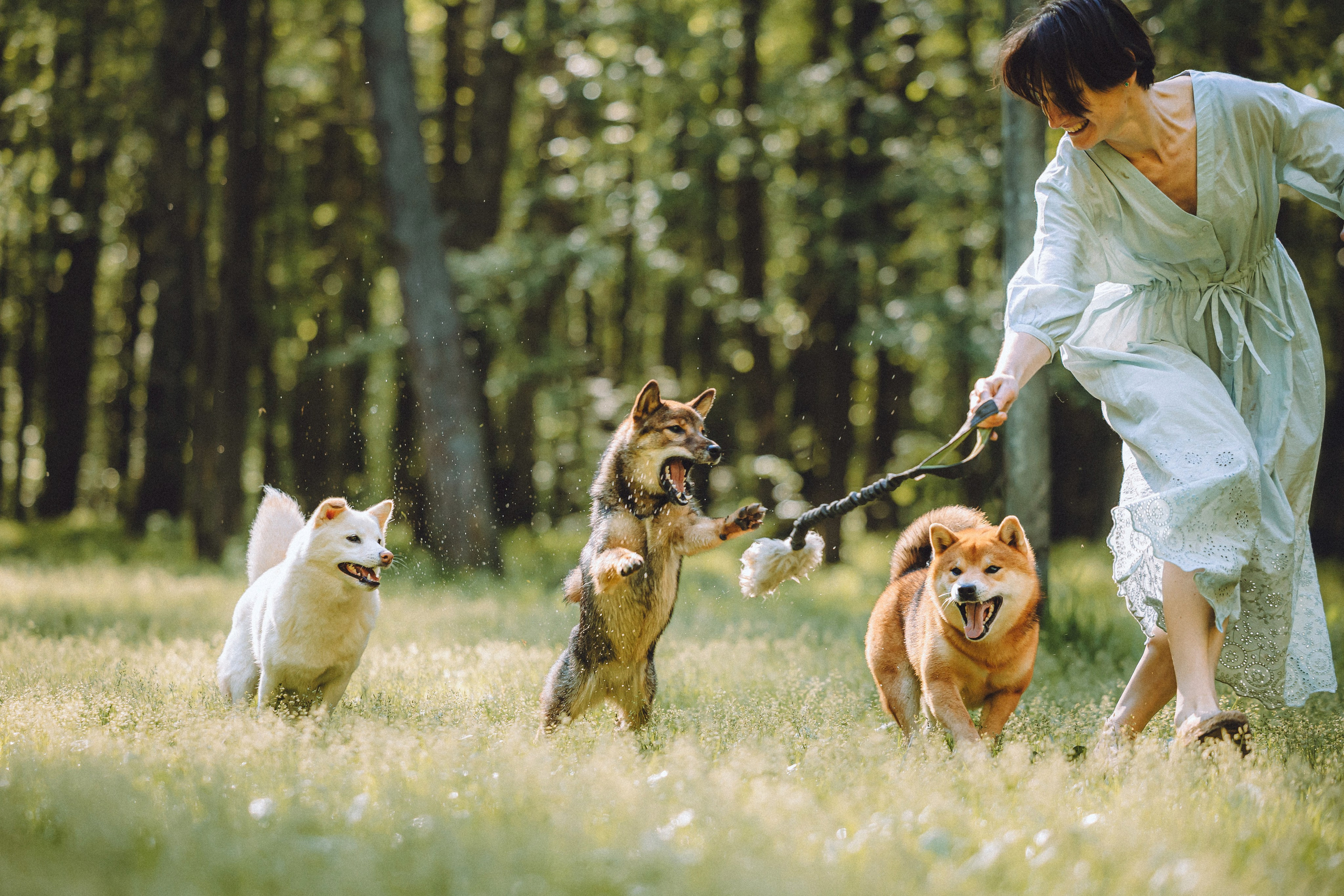 Шед, Цири, Чиби, Цера и их семья