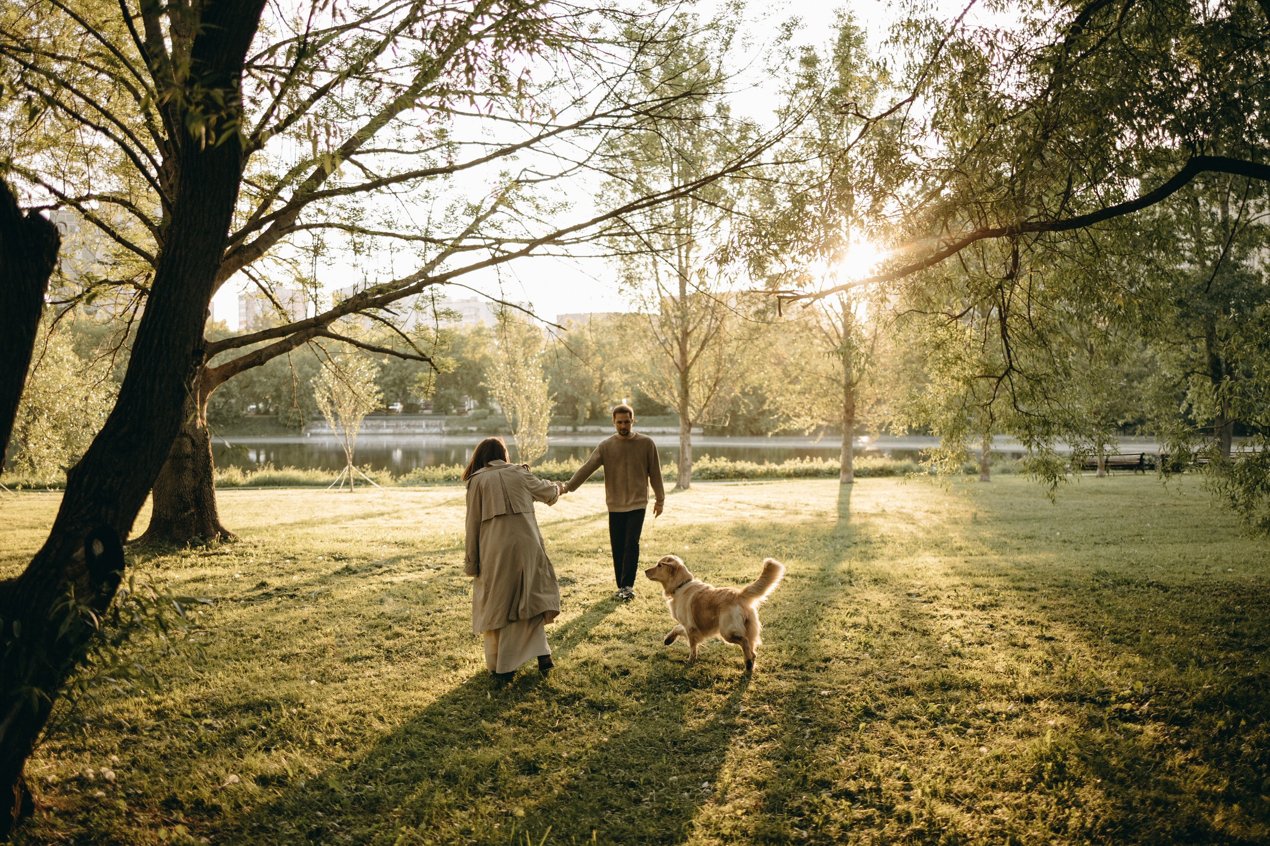 Пенни и ребята. Фотограф — Анималист | Санкт-Петербург