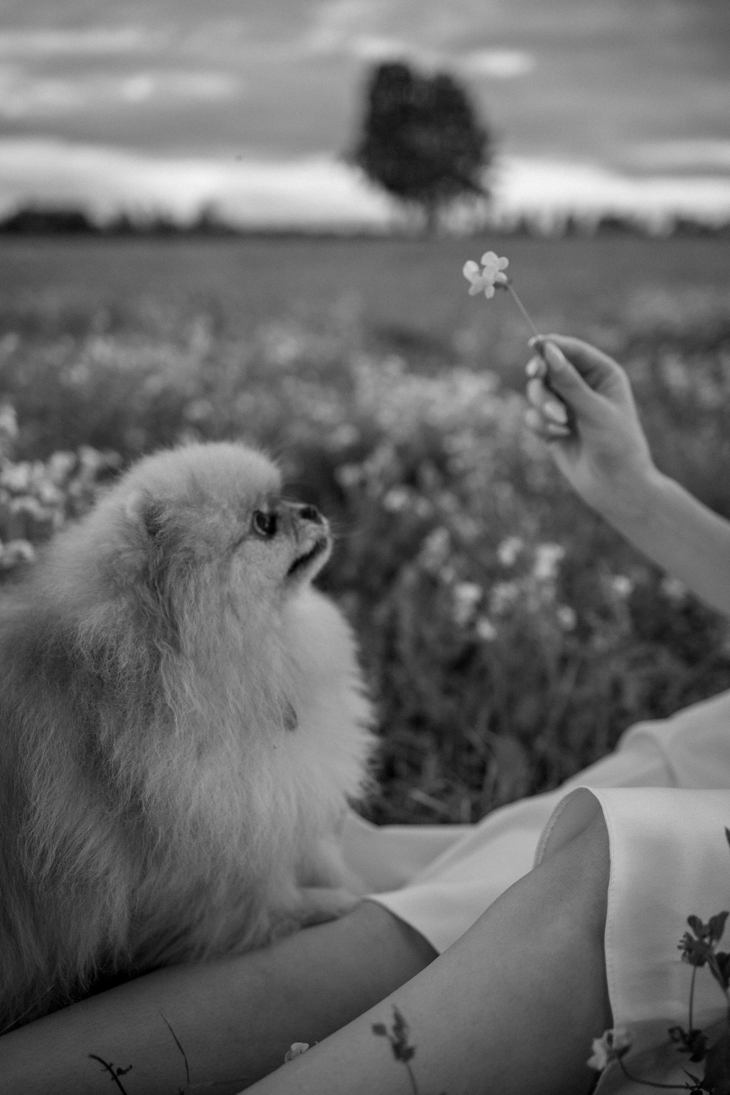 Стив и его семья. Фотограф — Анималист | Санкт-Петербург