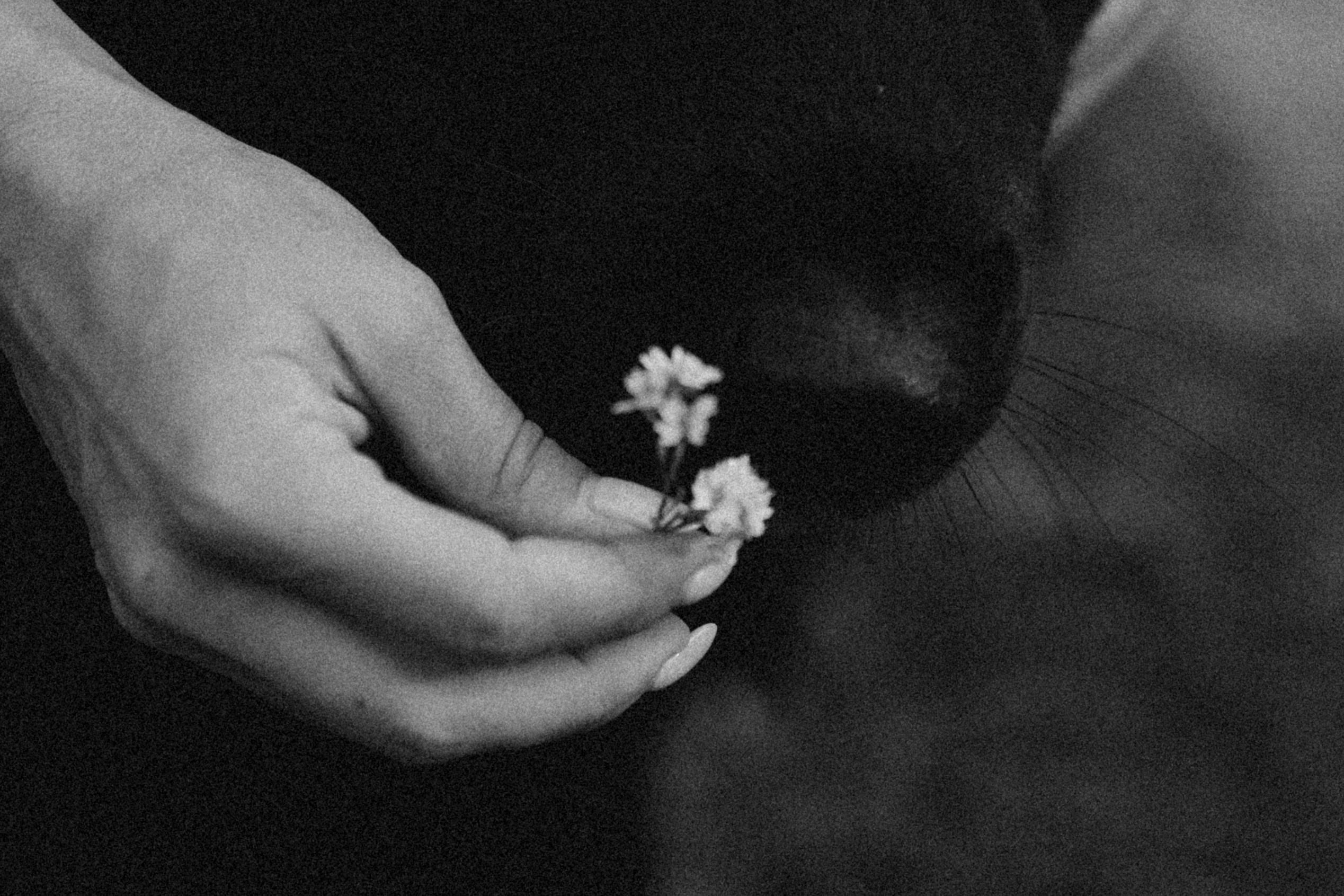 Лора и Джанго. Фотограф — Анималист | Санкт-Петербург