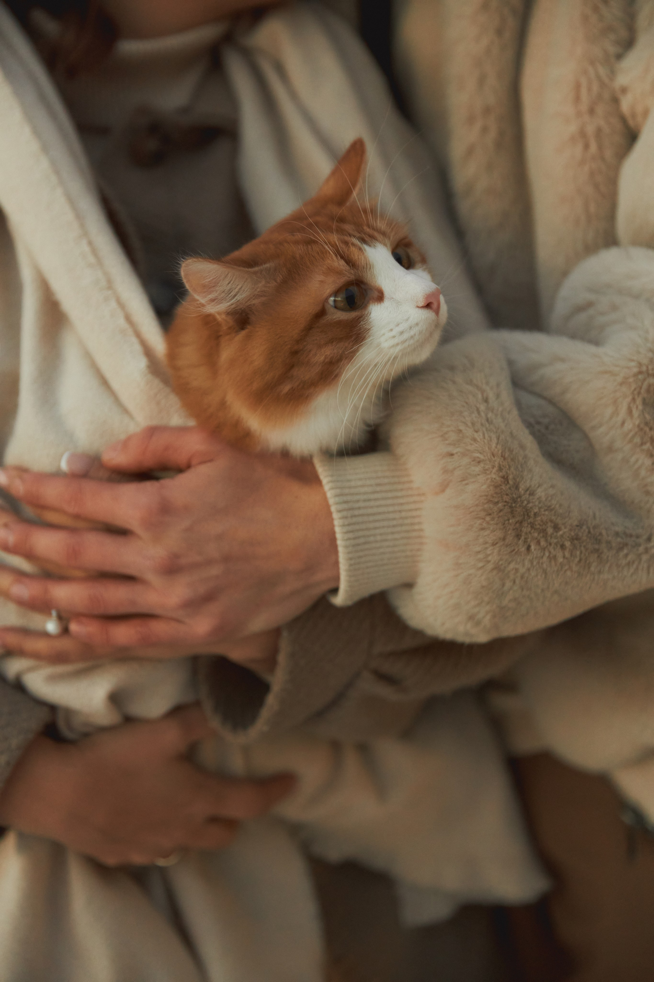 Мед и Дерево. Семейный и свадебный фотограф Лилия Матонина | Ангарск, Иркутск, Усолье-Сибирское, Байкал (Листвянка, Ольхон), Иркутская область
