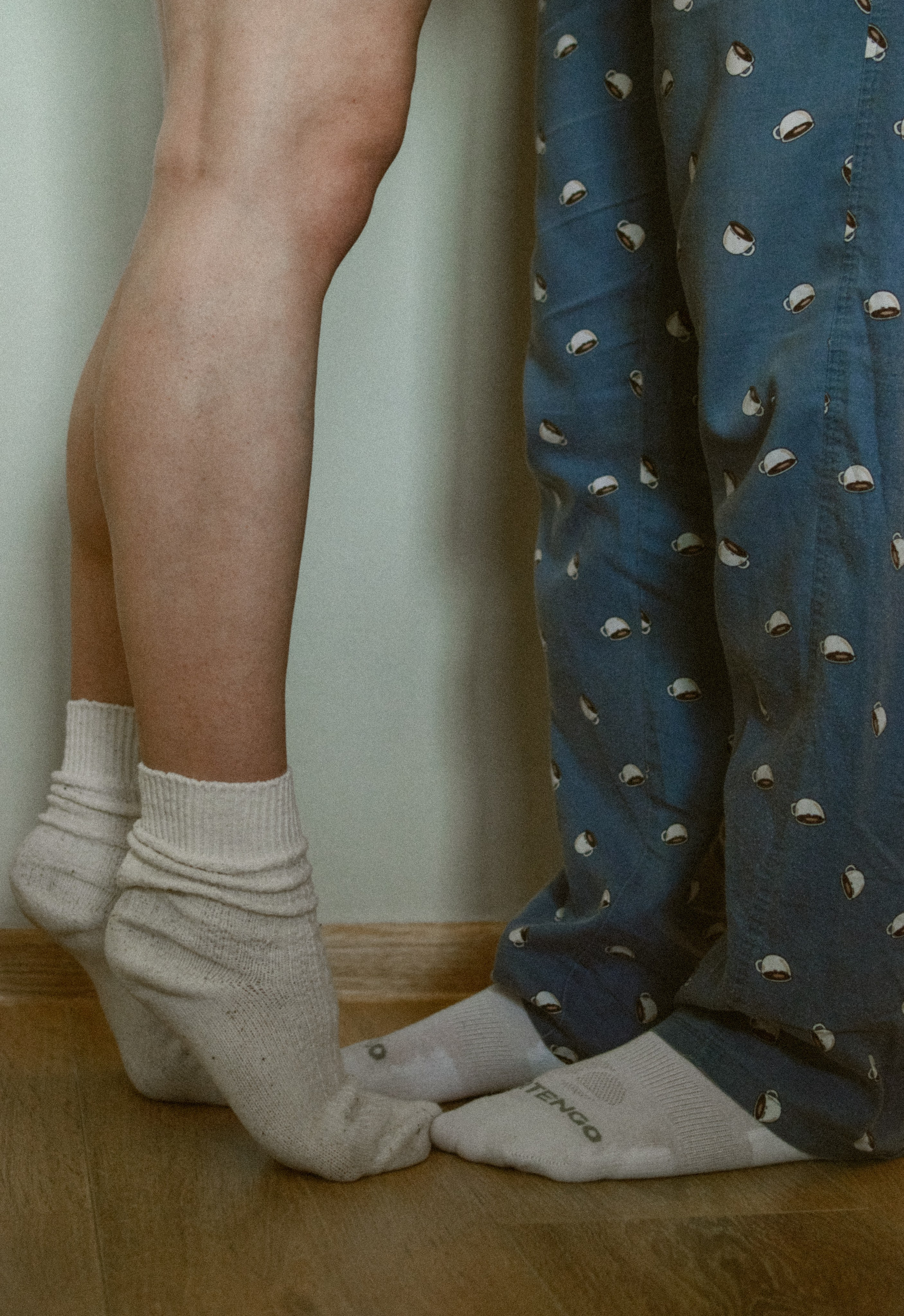 Домашняя история. Meryfotoidea