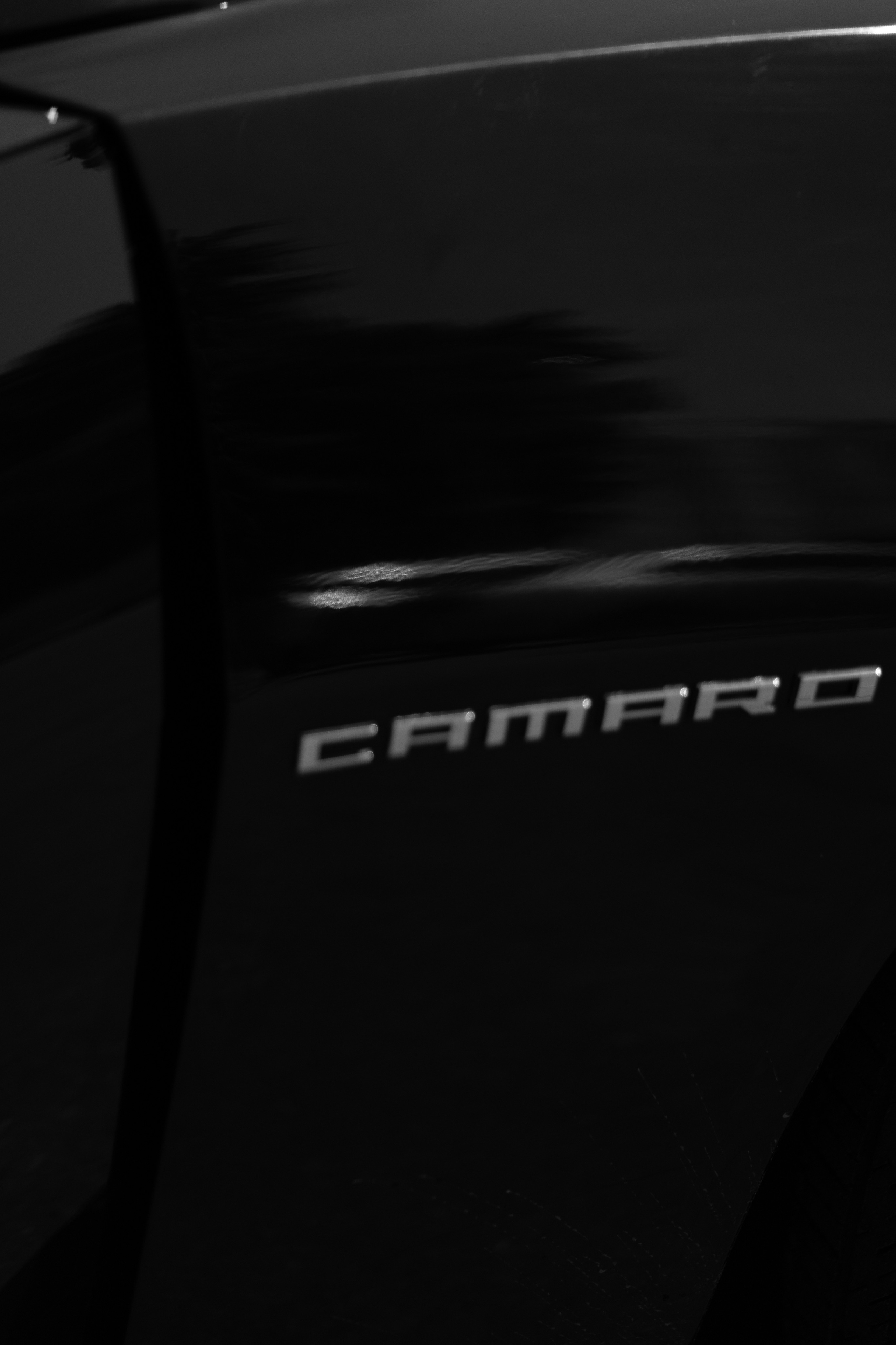 Алина и Вова. Свадебный и семейный фотограф в Ульяновске Анастасия Мышенкова