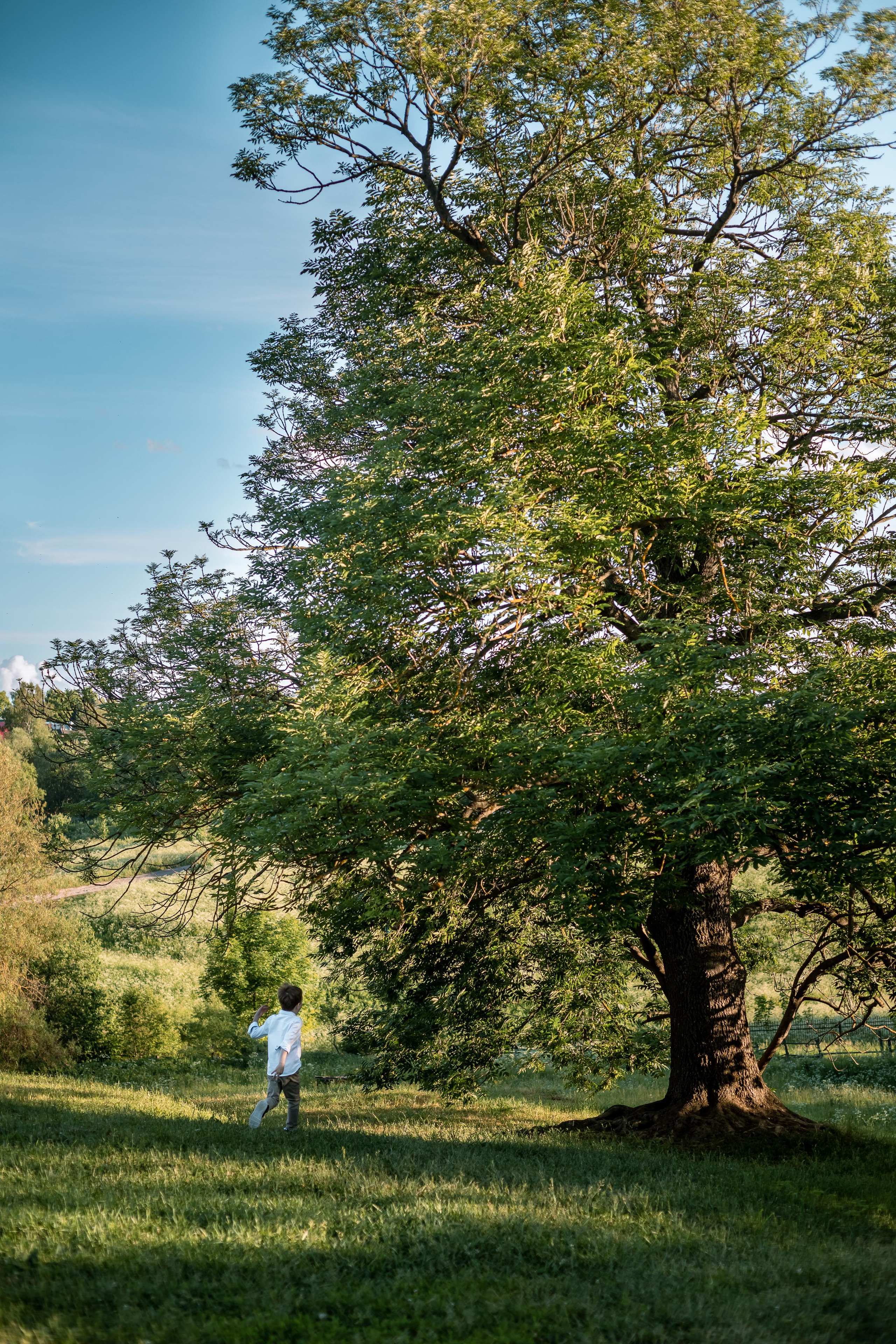 Фотопрогулка для семьи Кирилла и Наташи в Ясной Поляне. Женский семейный фотограф Тула Москва Захарова Анна