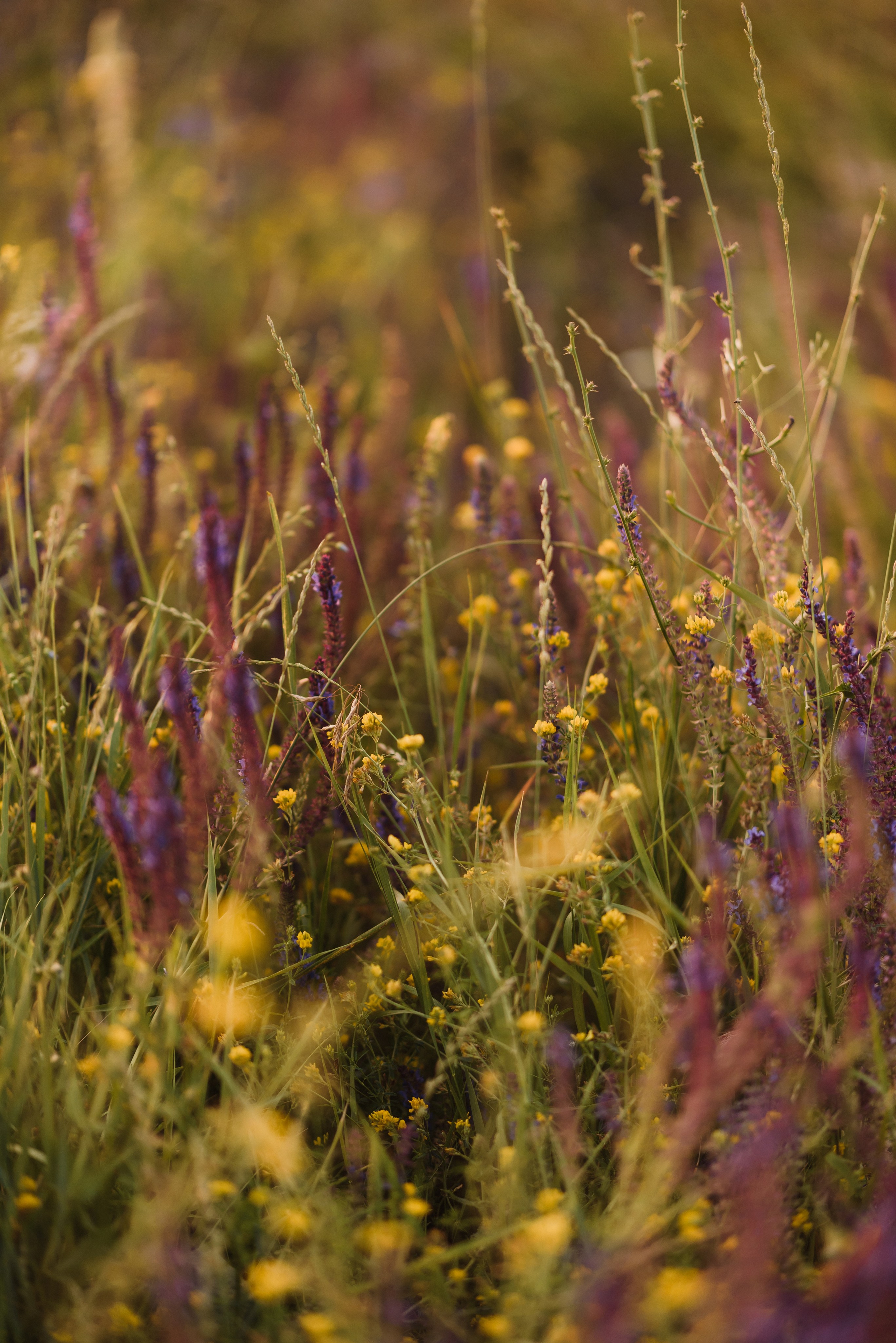 Вова, Кристина и Полина. Свадебный фотограф и видеограф