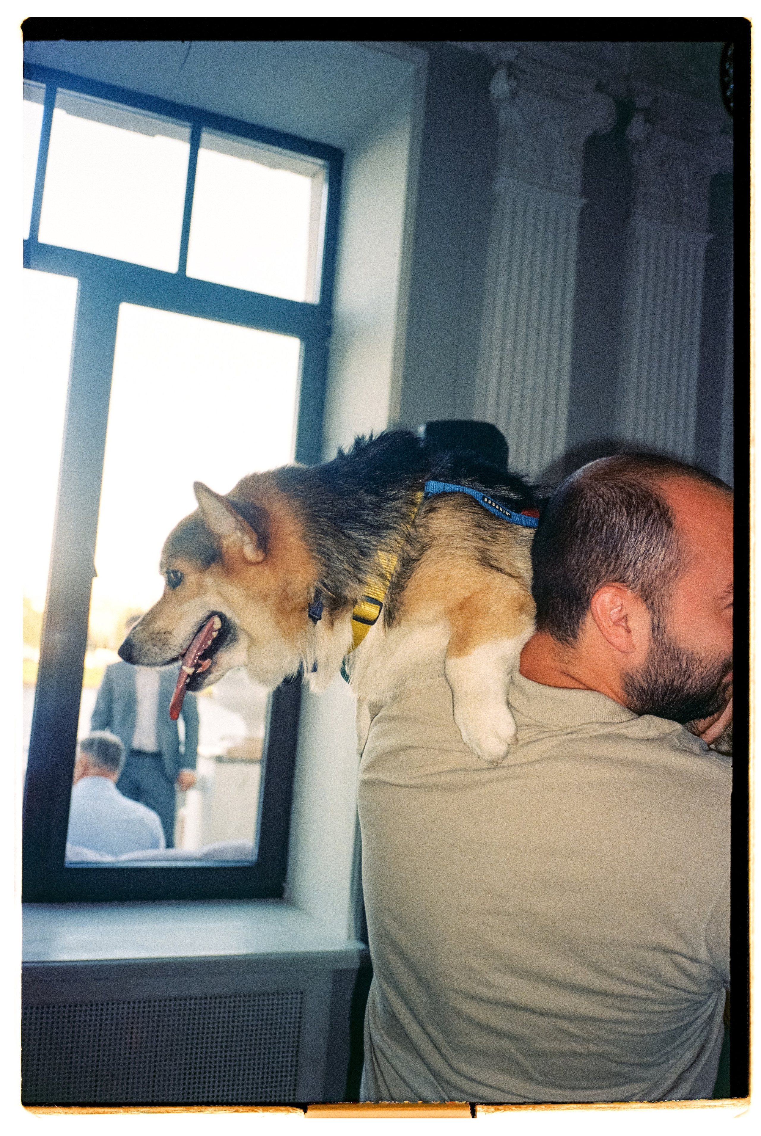 12 лап и 4 сердца. Сентиментальная свадебная фотография