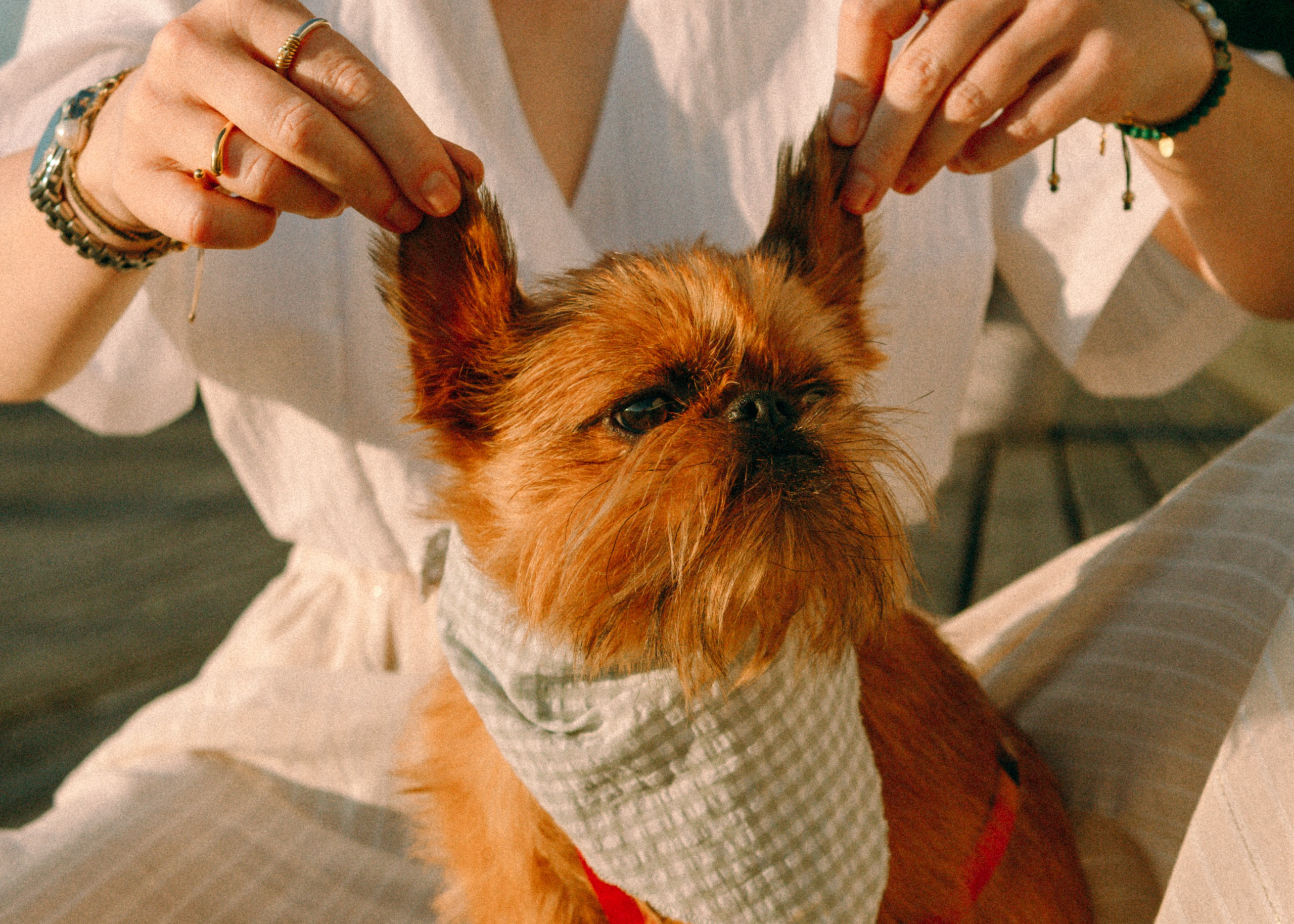 Лена и Альфи. Фотограф-анималист Ксения Воробьева, Москва